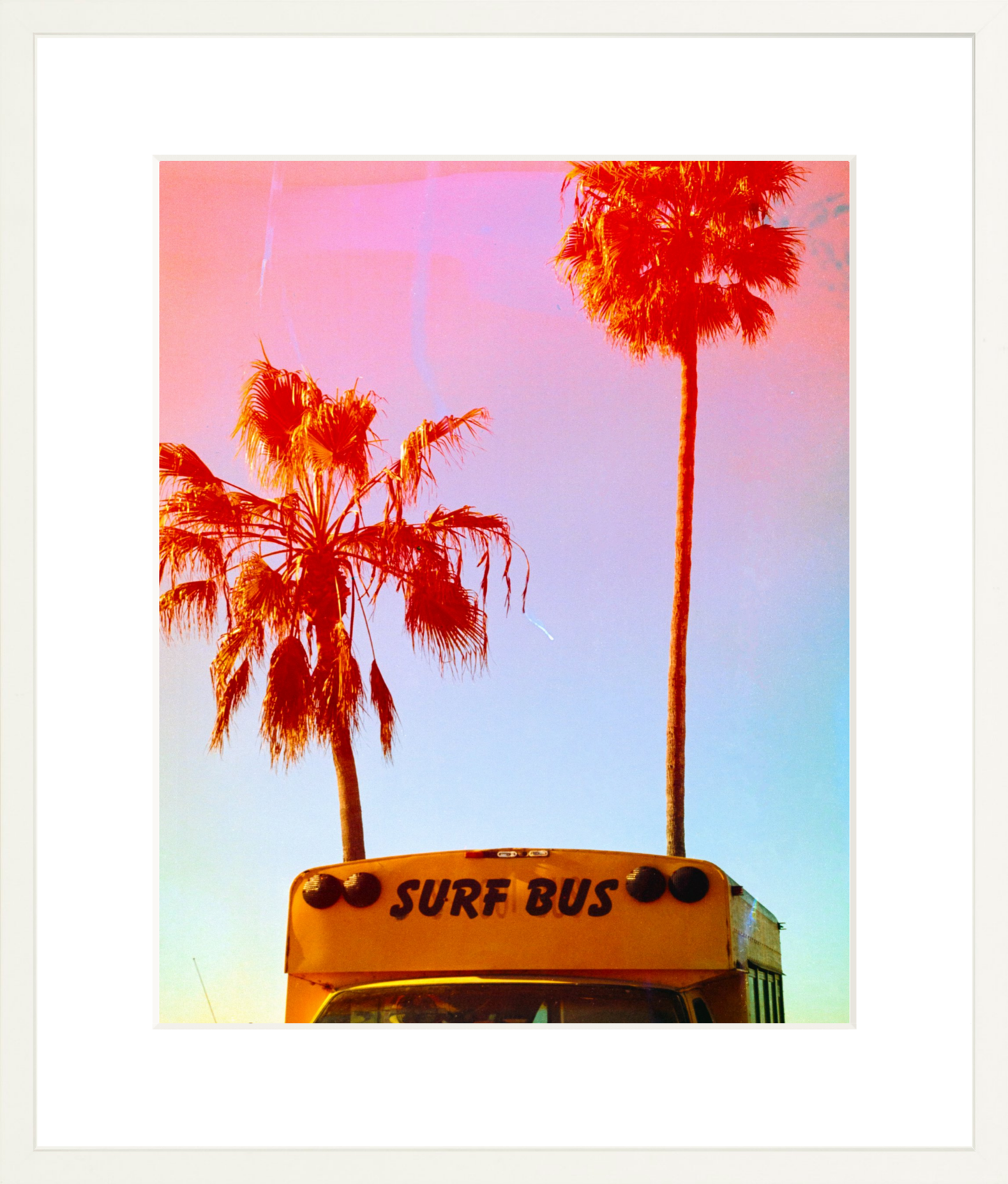 Surf Bus
