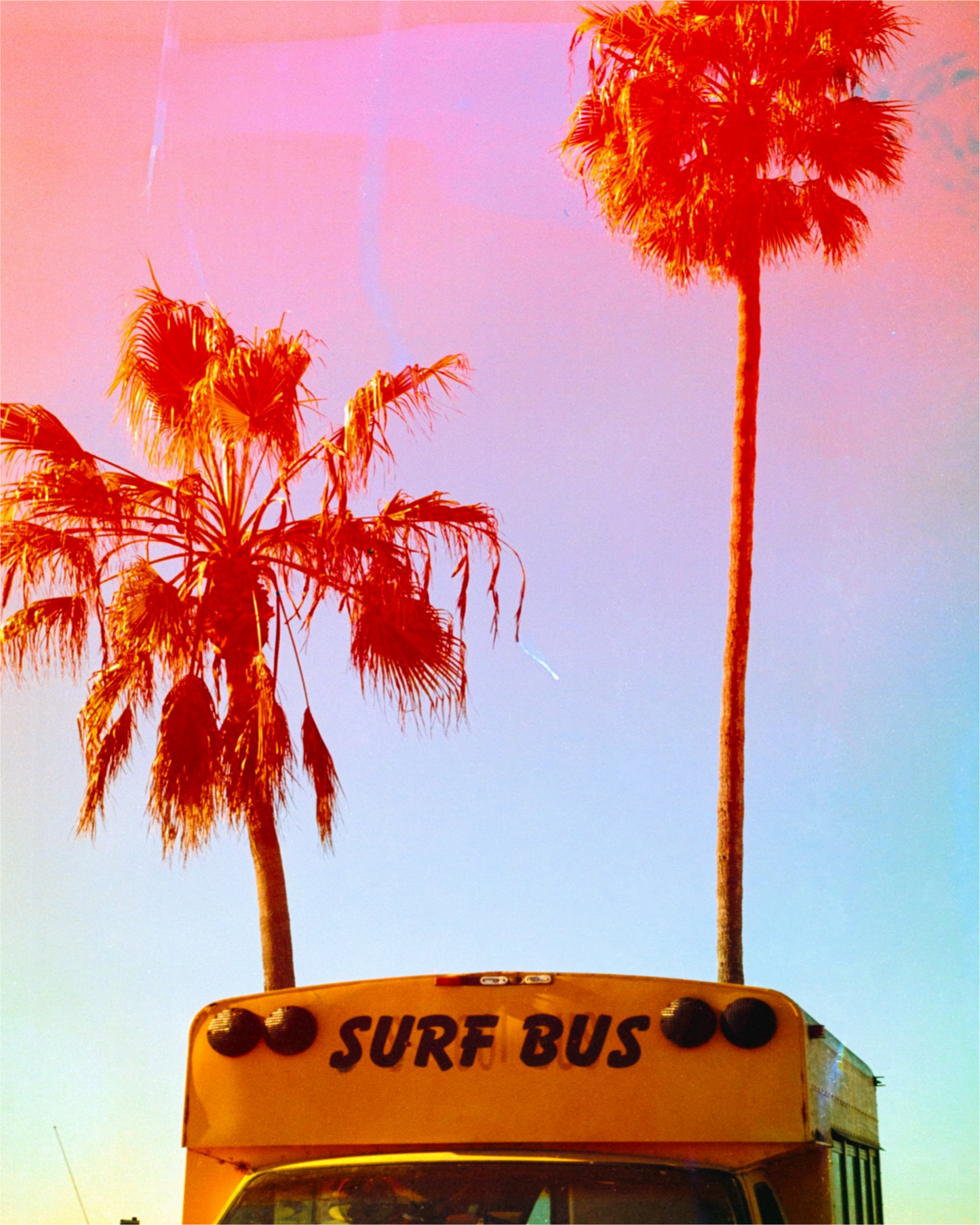 Surf Bus
