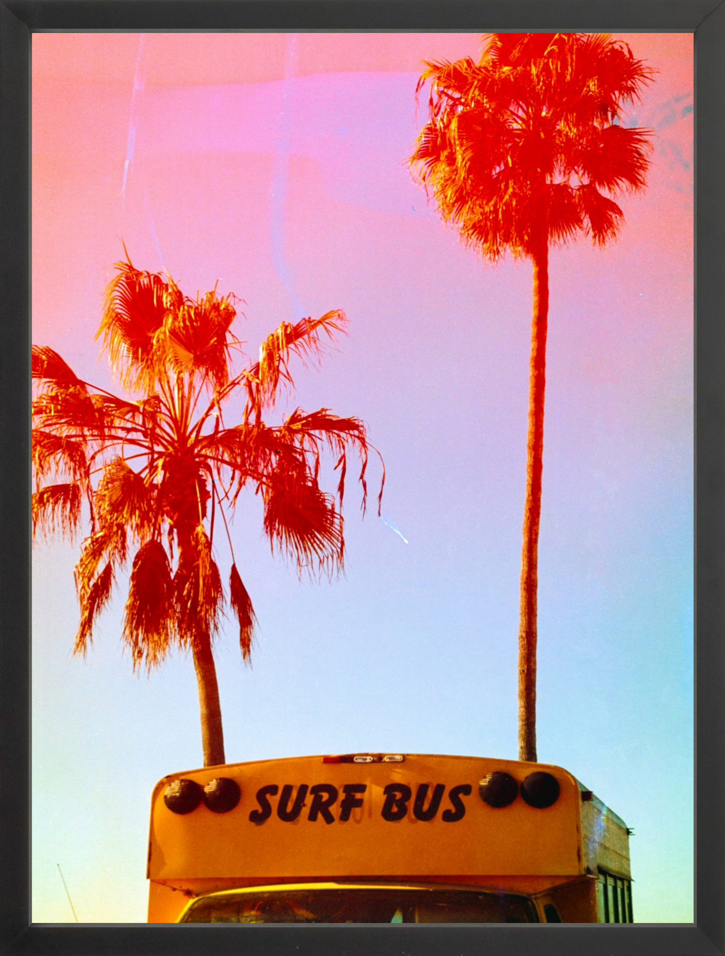 Surf Bus