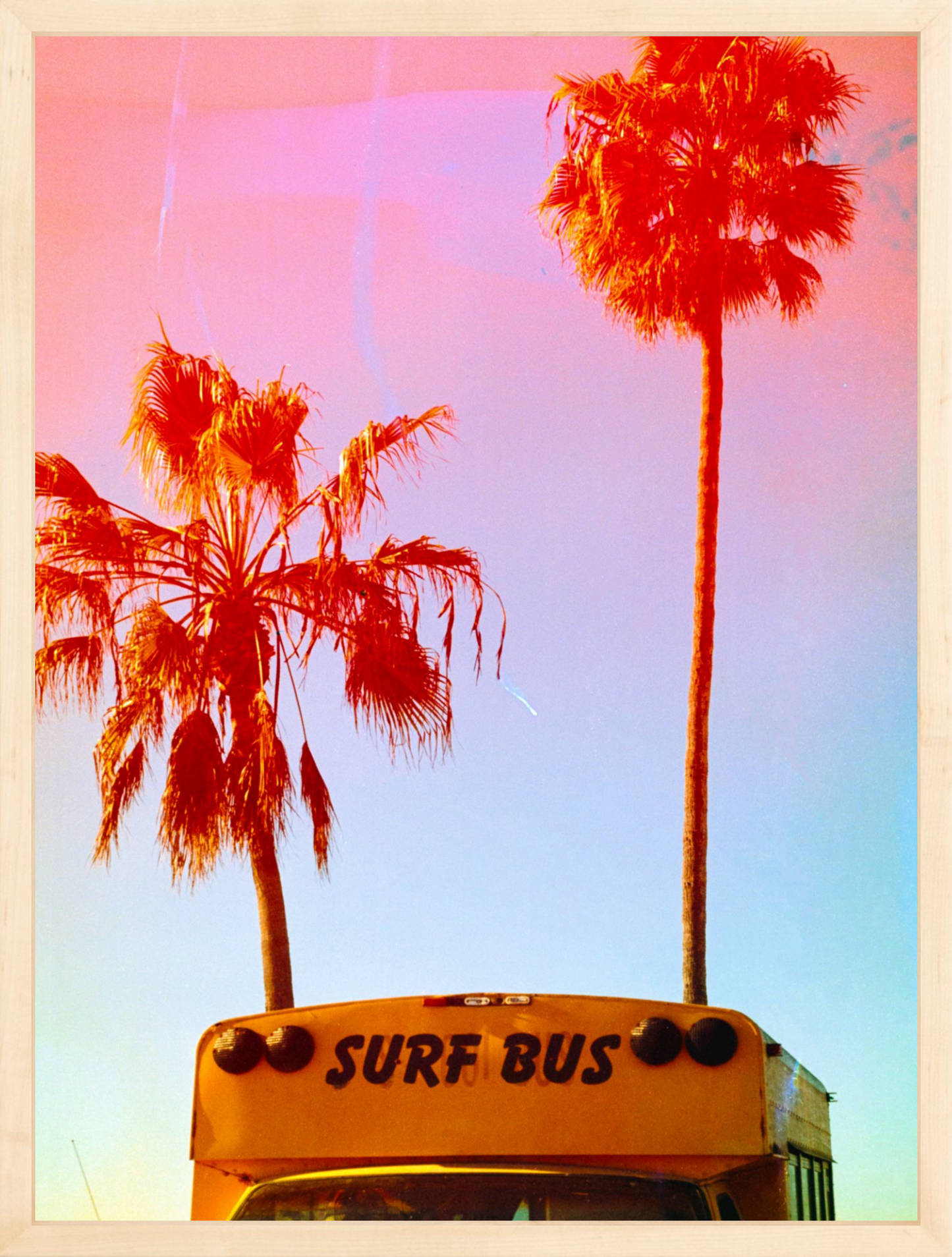 Surf Bus