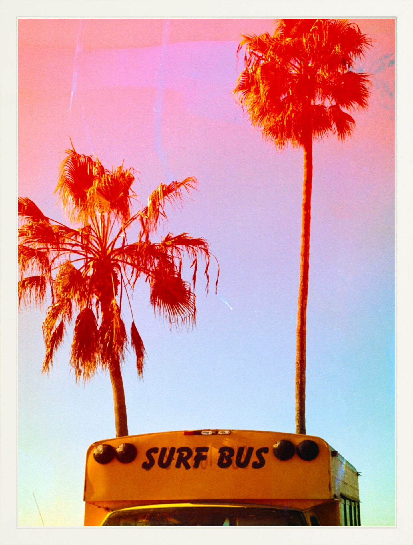 Surf Bus