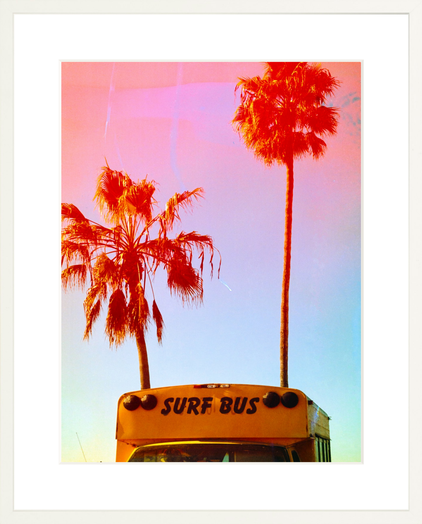 Surf Bus