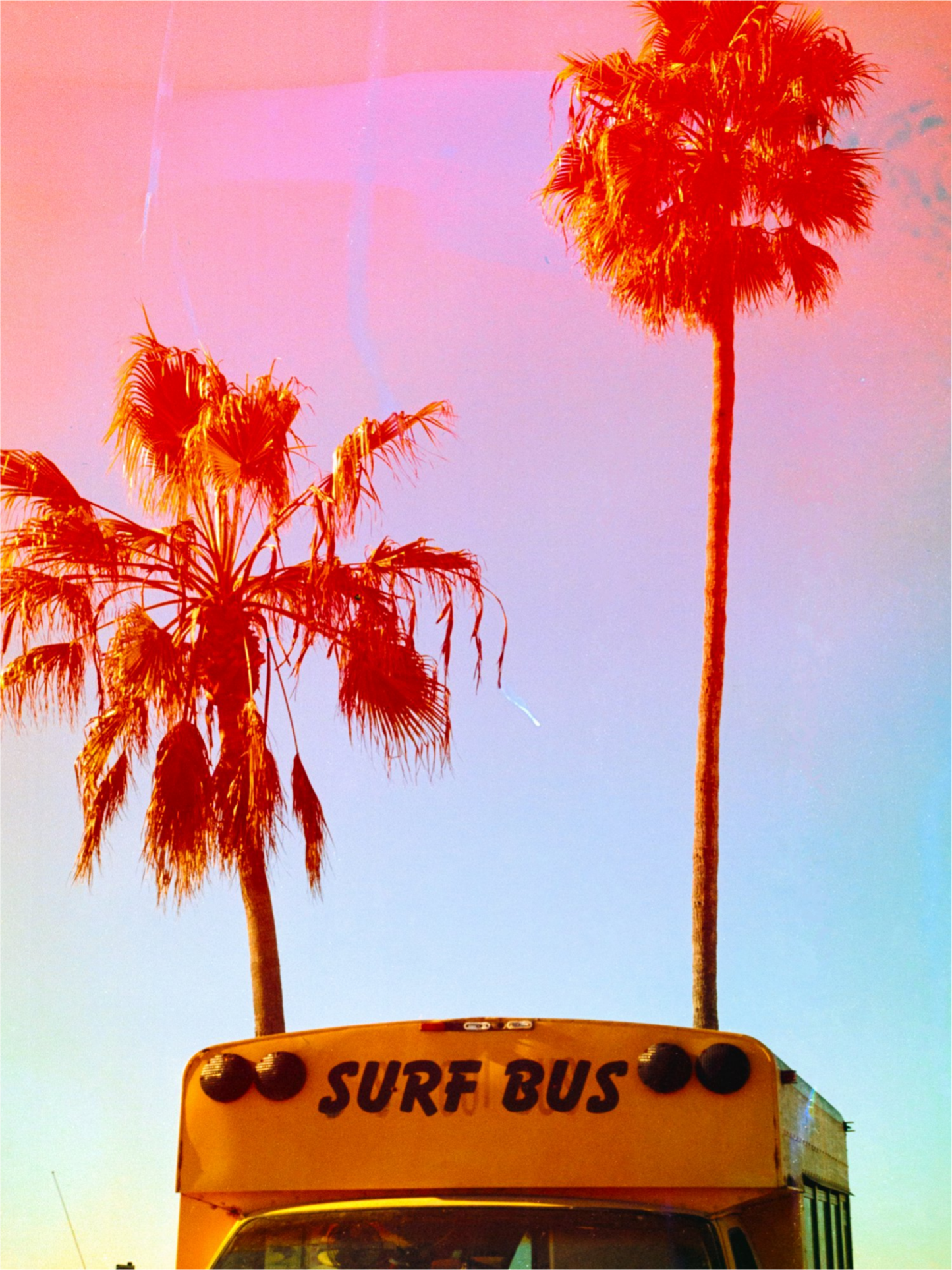 Surf Bus