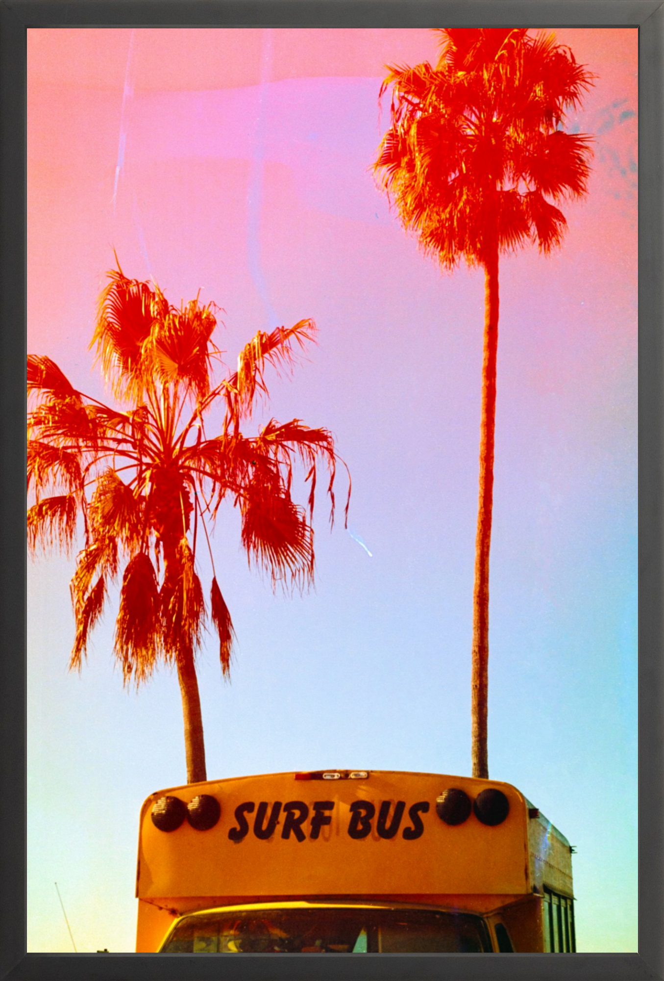 Surf Bus