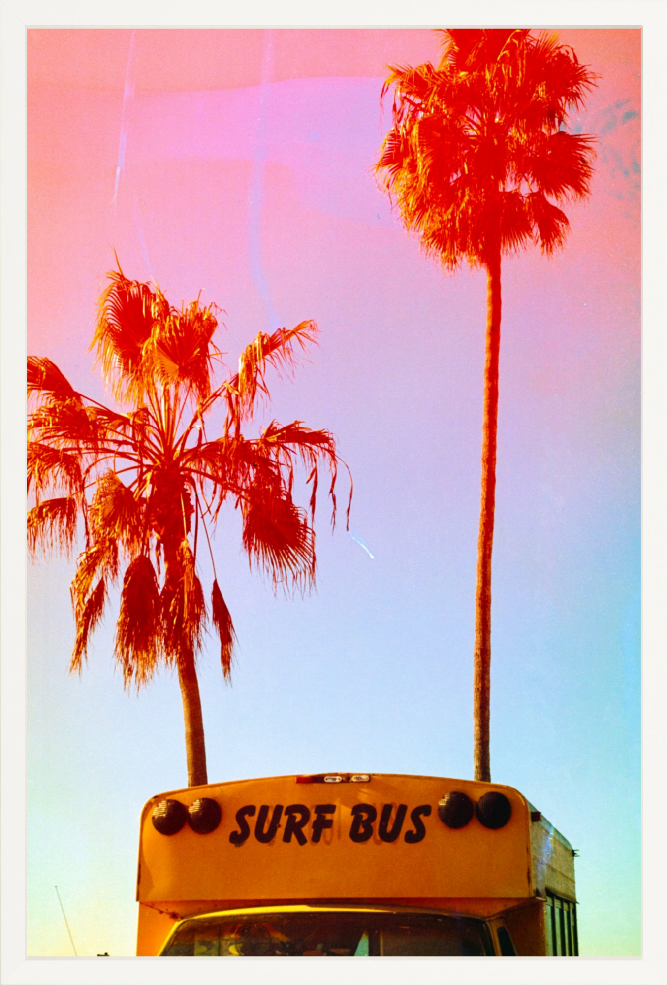 Surf Bus