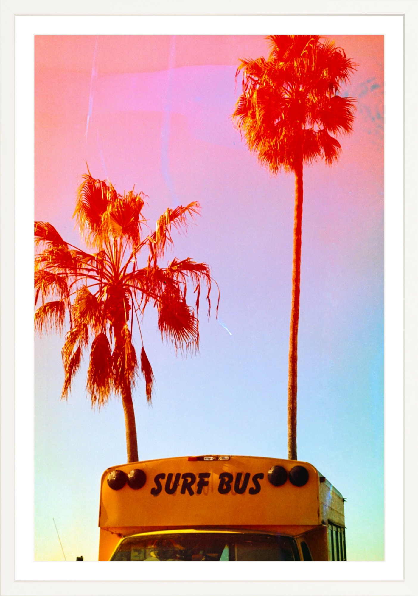 Surf Bus