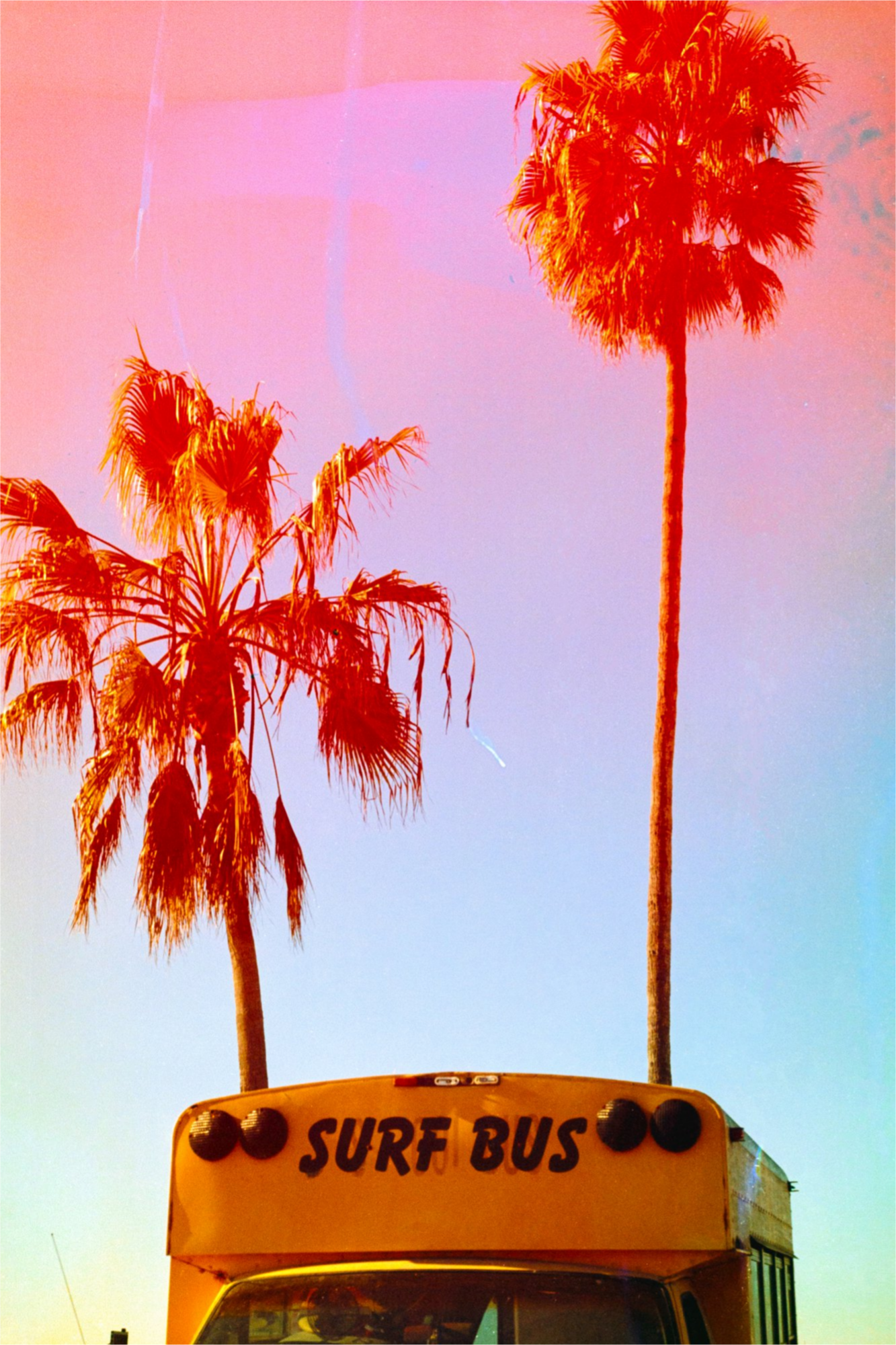 Surf Bus