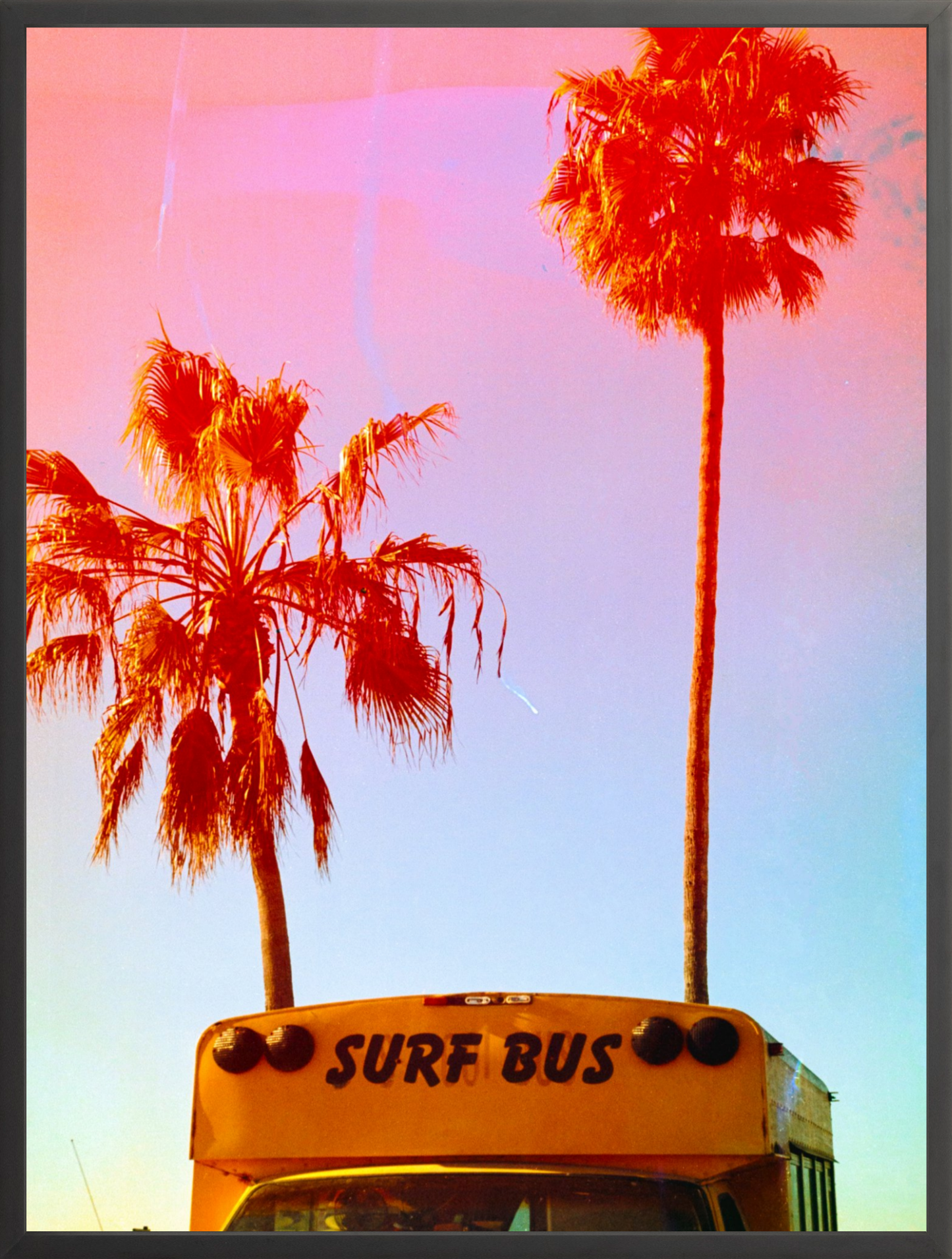 Surf Bus