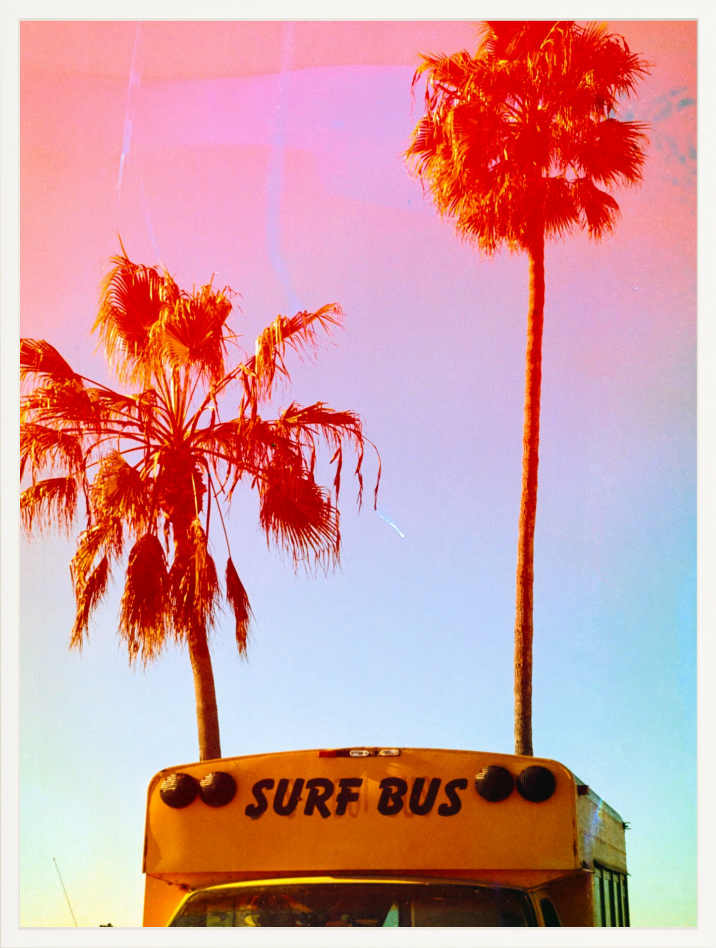 Surf Bus
