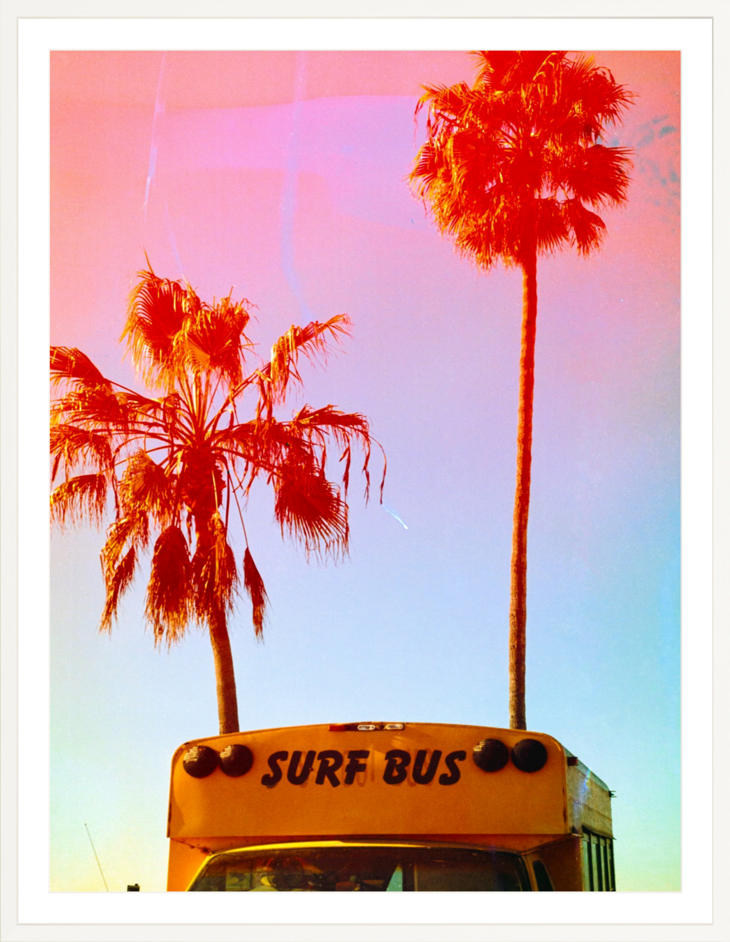 Surf Bus