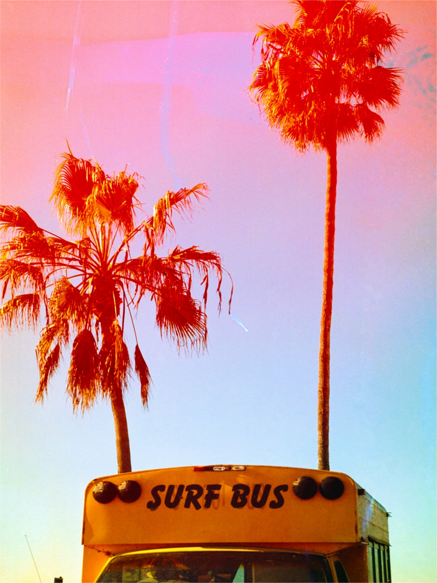 Surf Bus