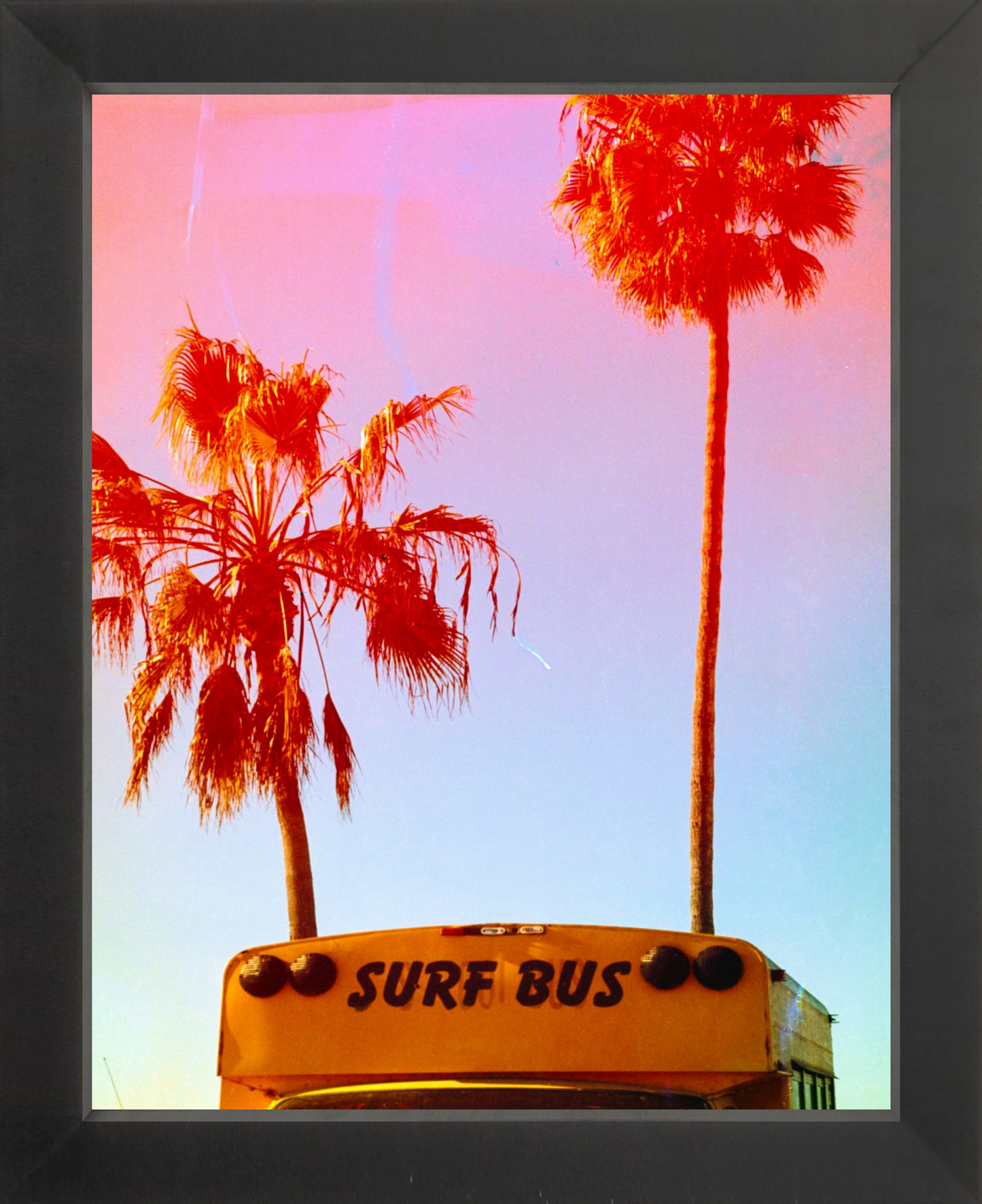Surf Bus