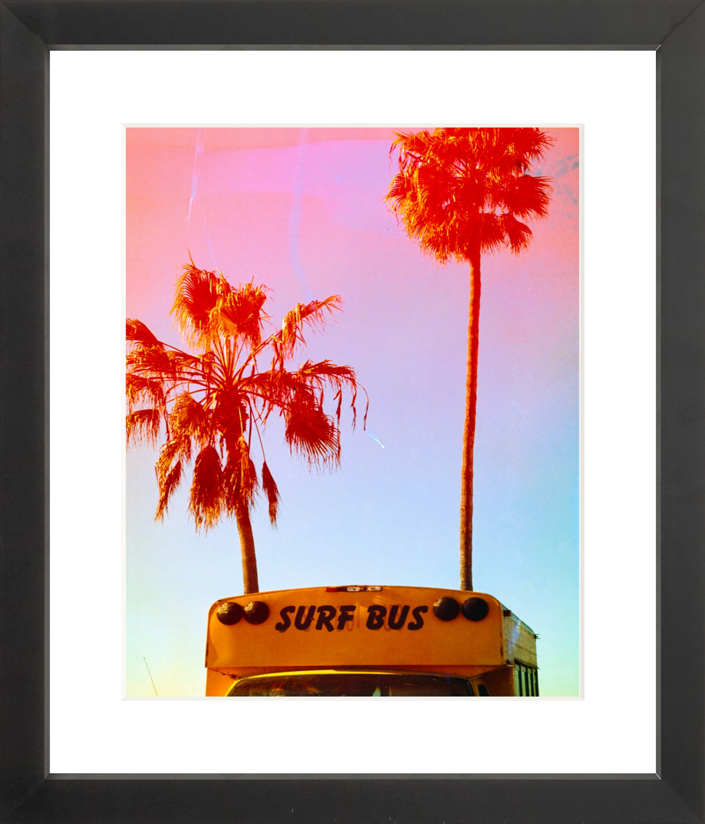 Surf Bus