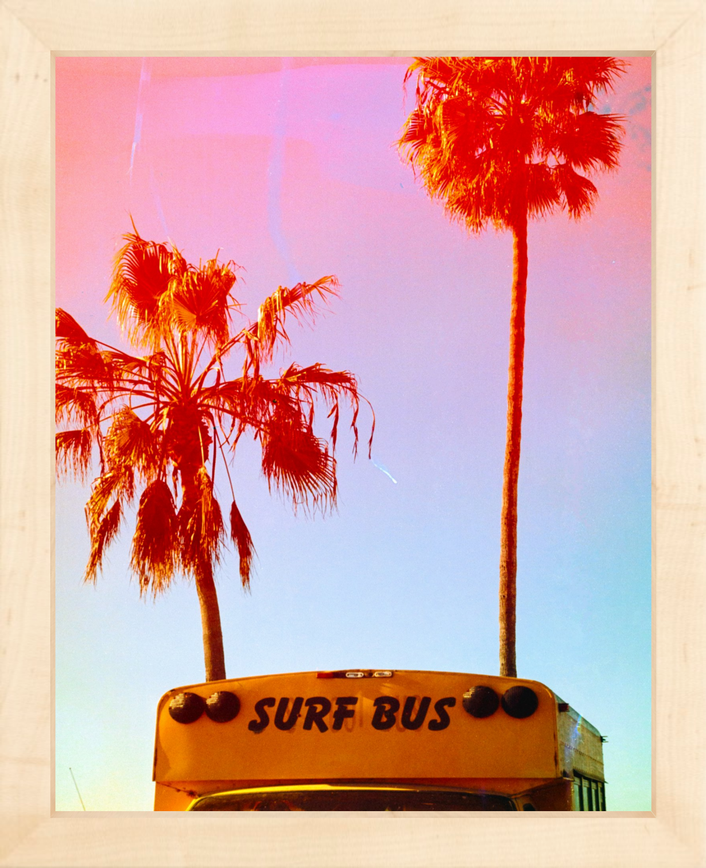 Surf Bus
