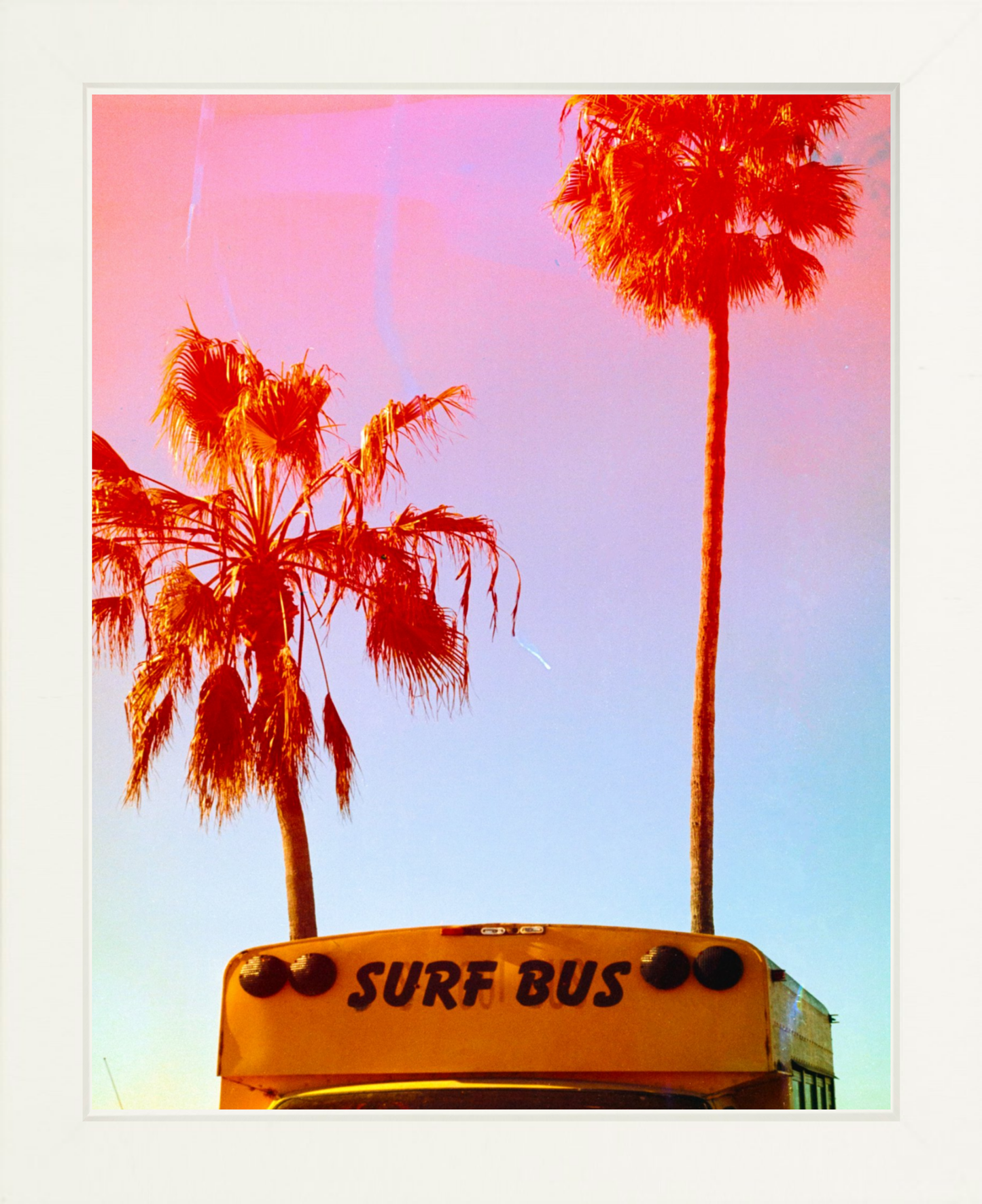 Surf Bus