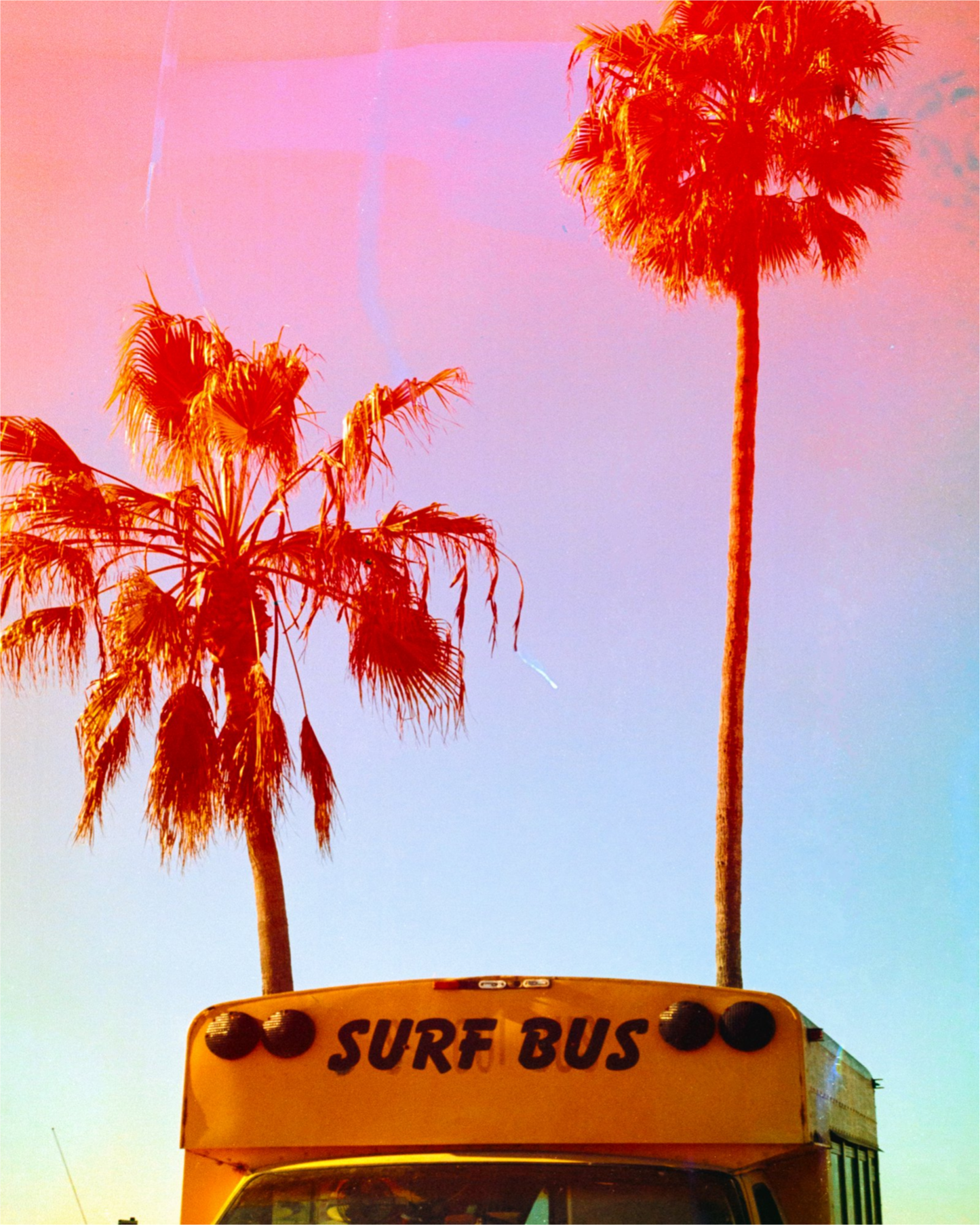 Surf Bus