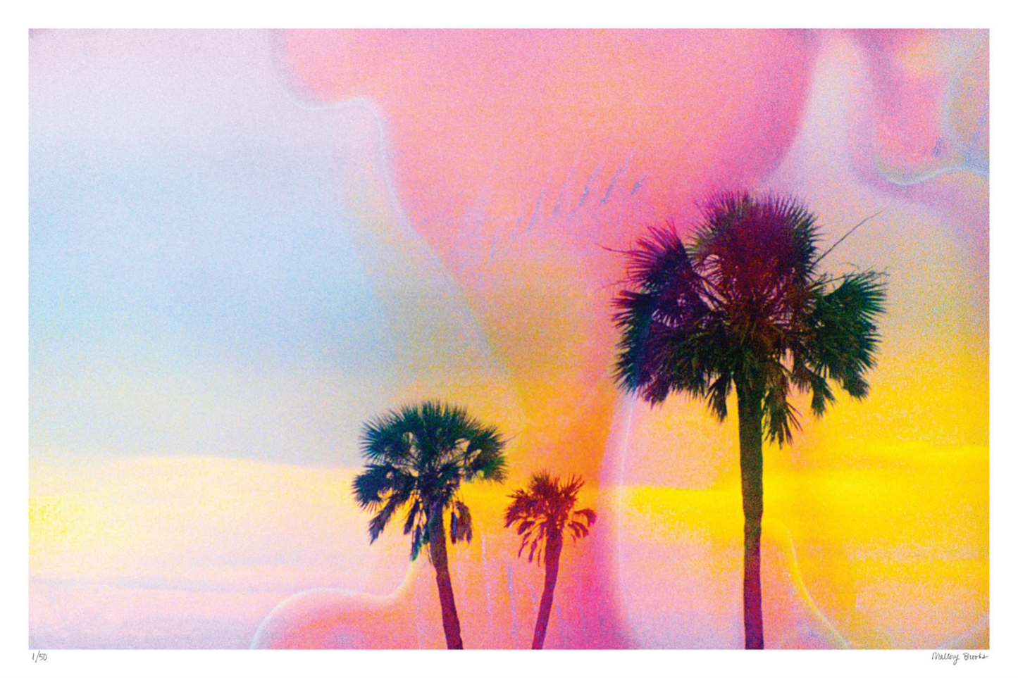 Pastel Paradise No. 5