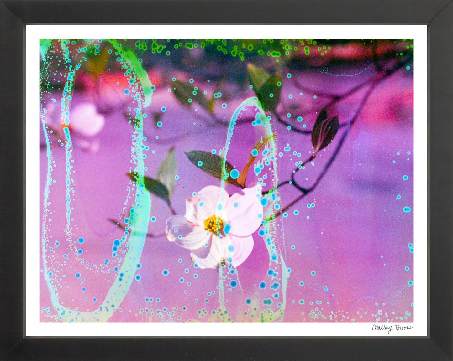 Electric Dogwoods No. 10
