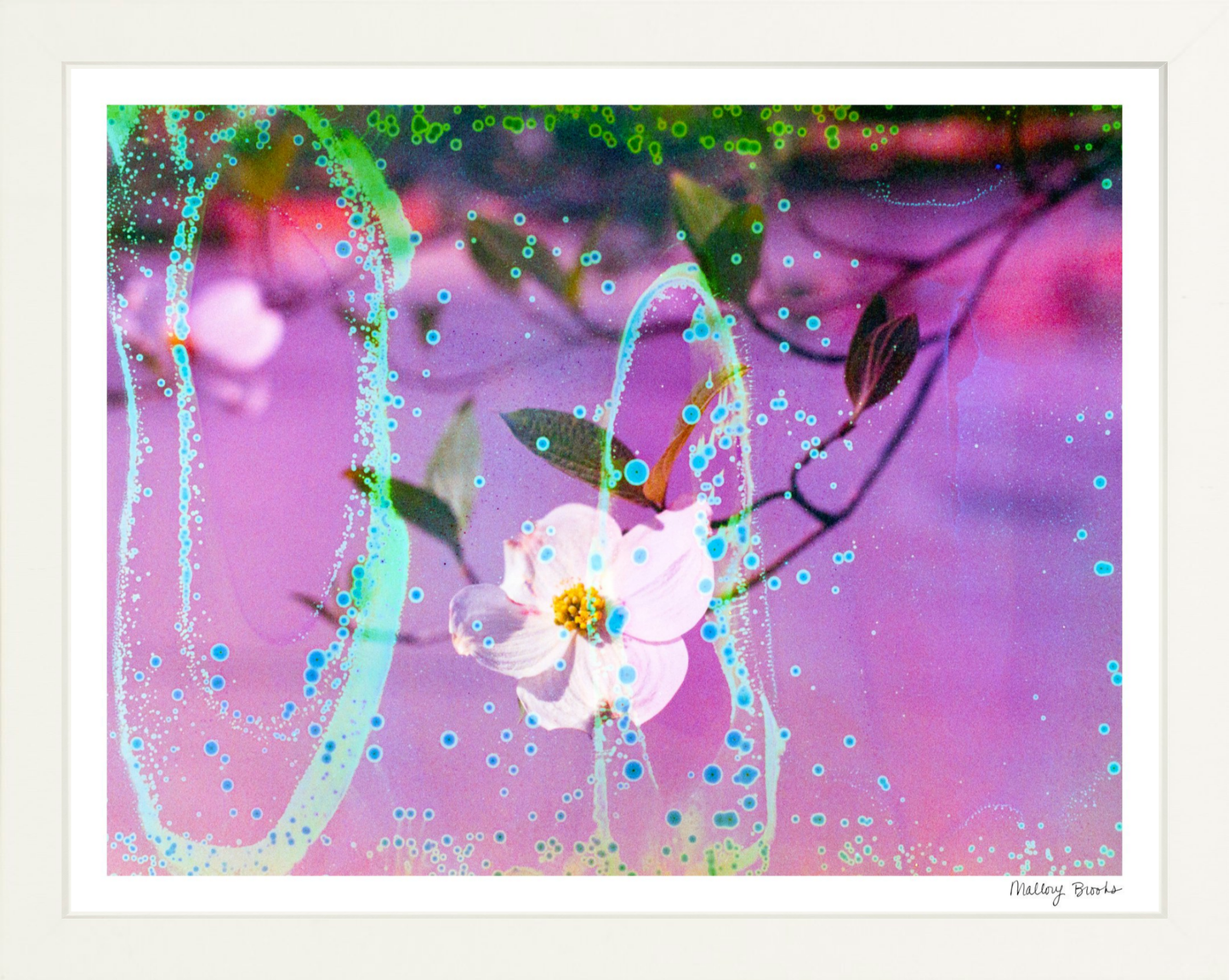Electric Dogwoods No. 10