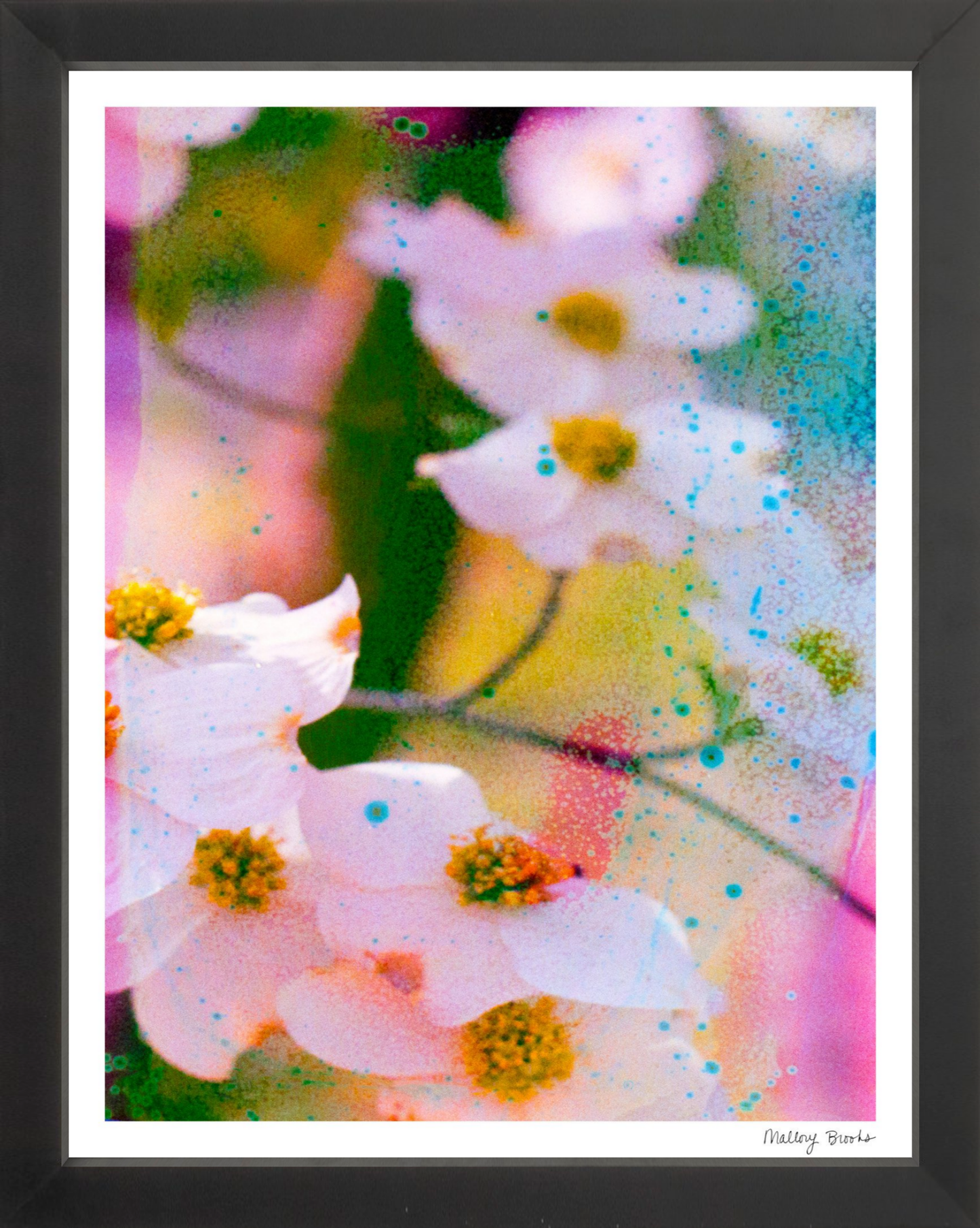 Electric Dogwoods No. 11