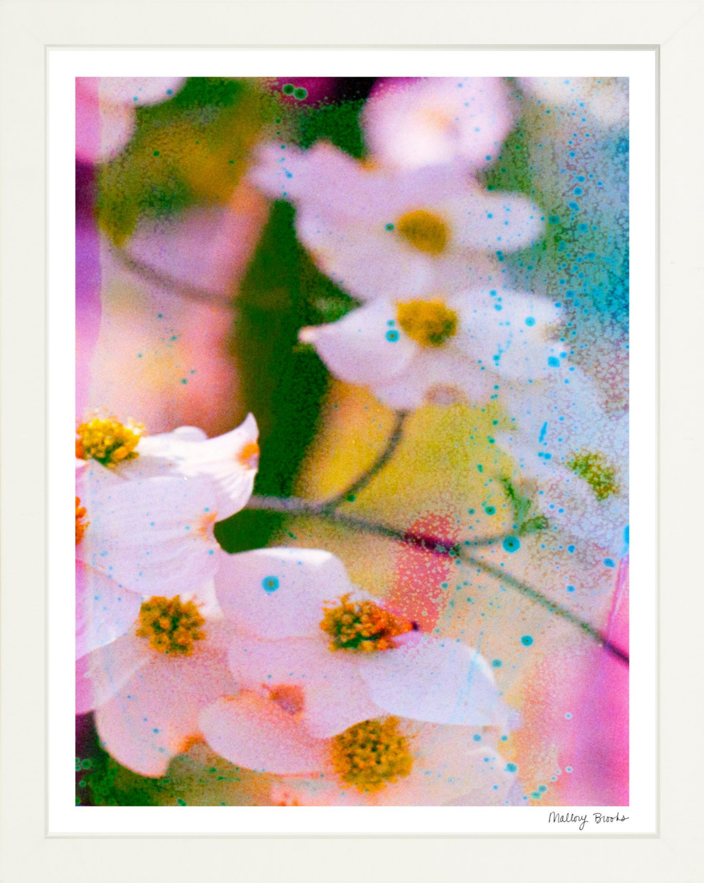 Electric Dogwoods No. 11