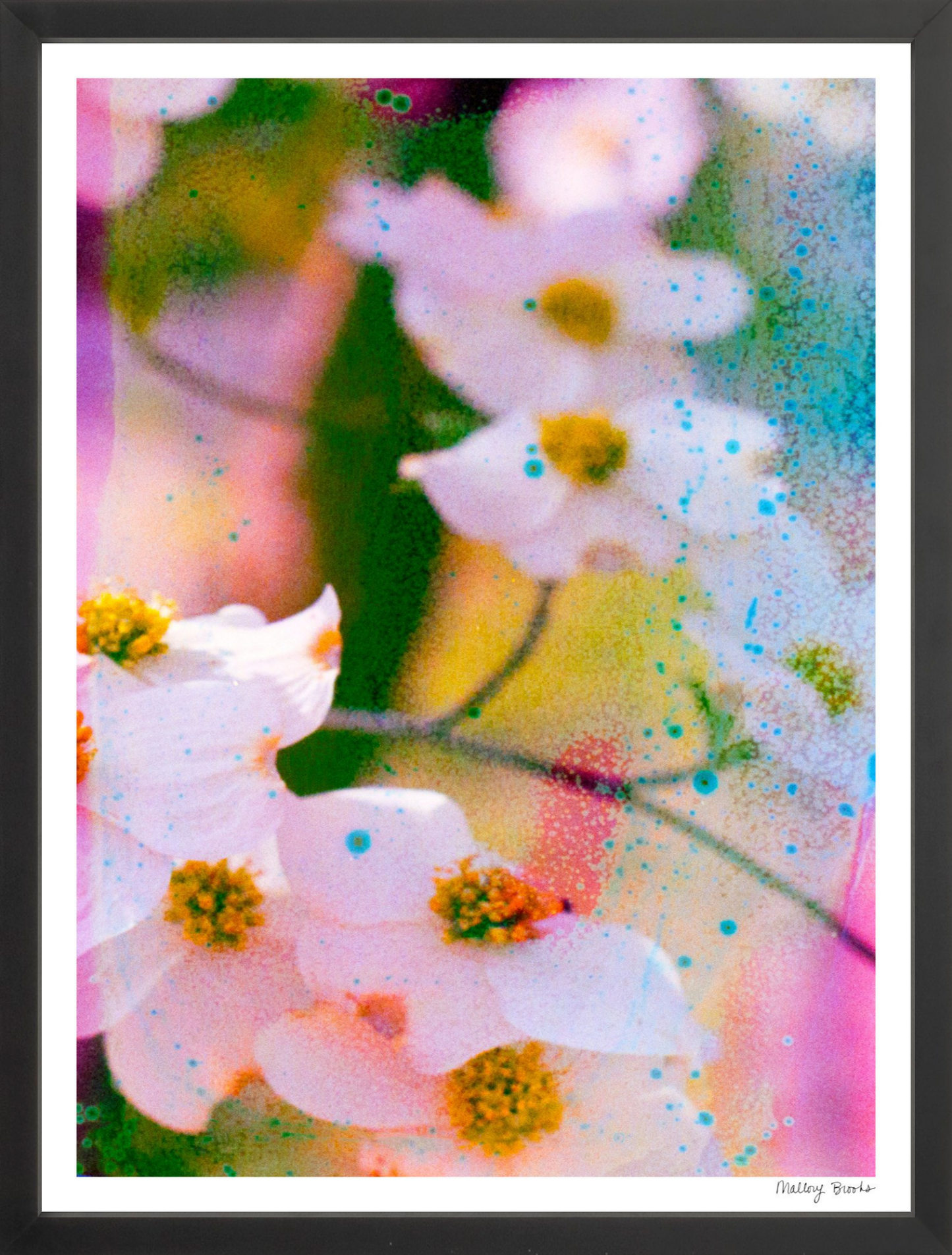 Electric Dogwoods No. 11