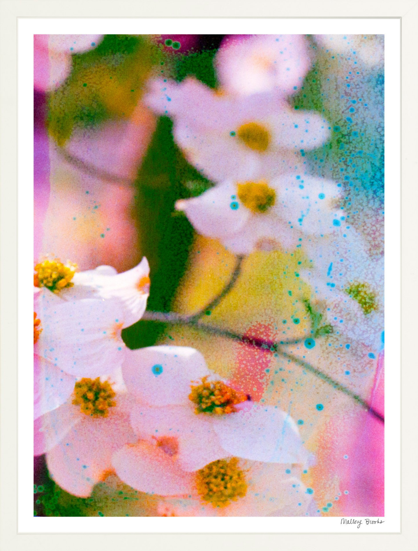 Electric Dogwoods No. 11
