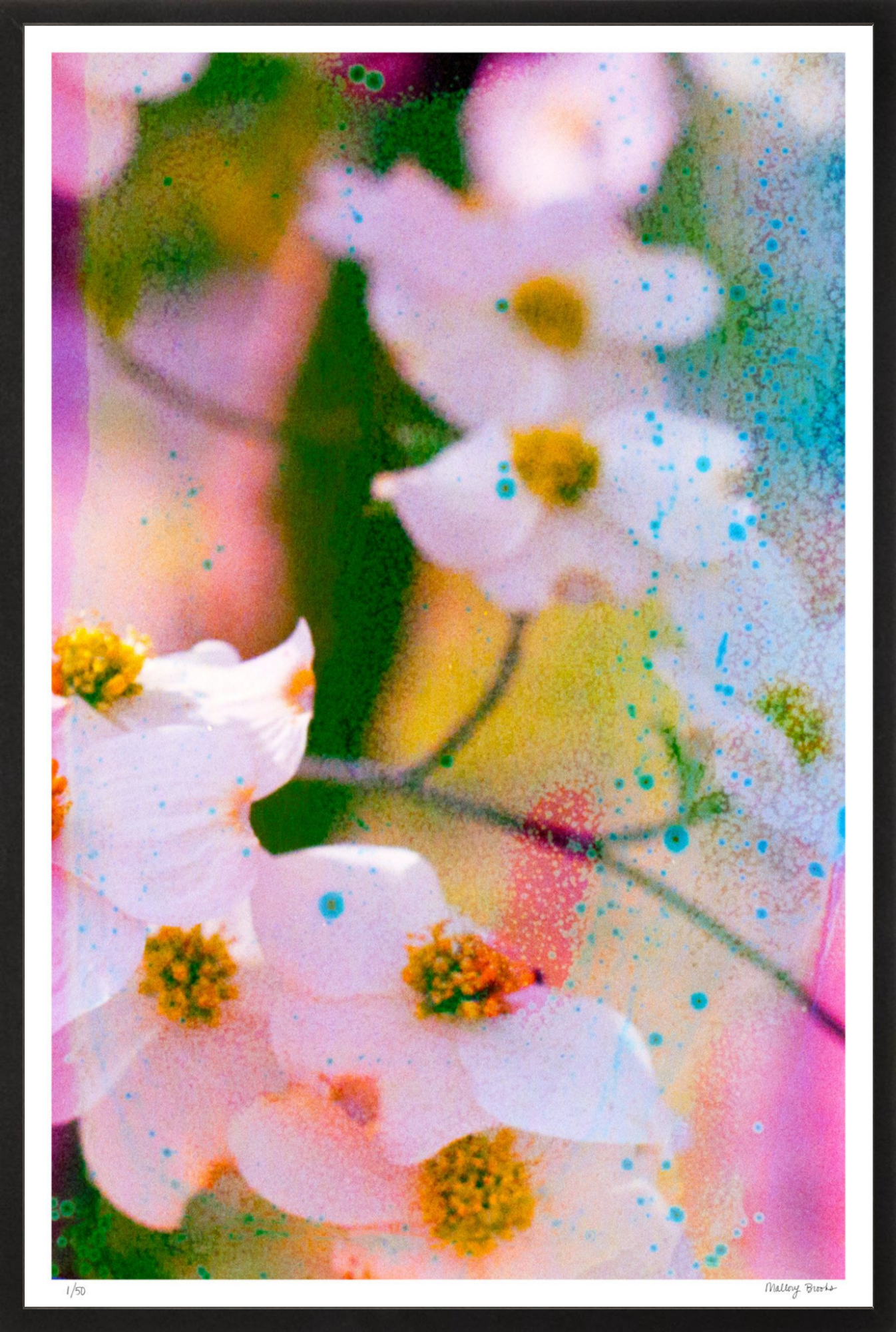 Electric Dogwoods No. 11