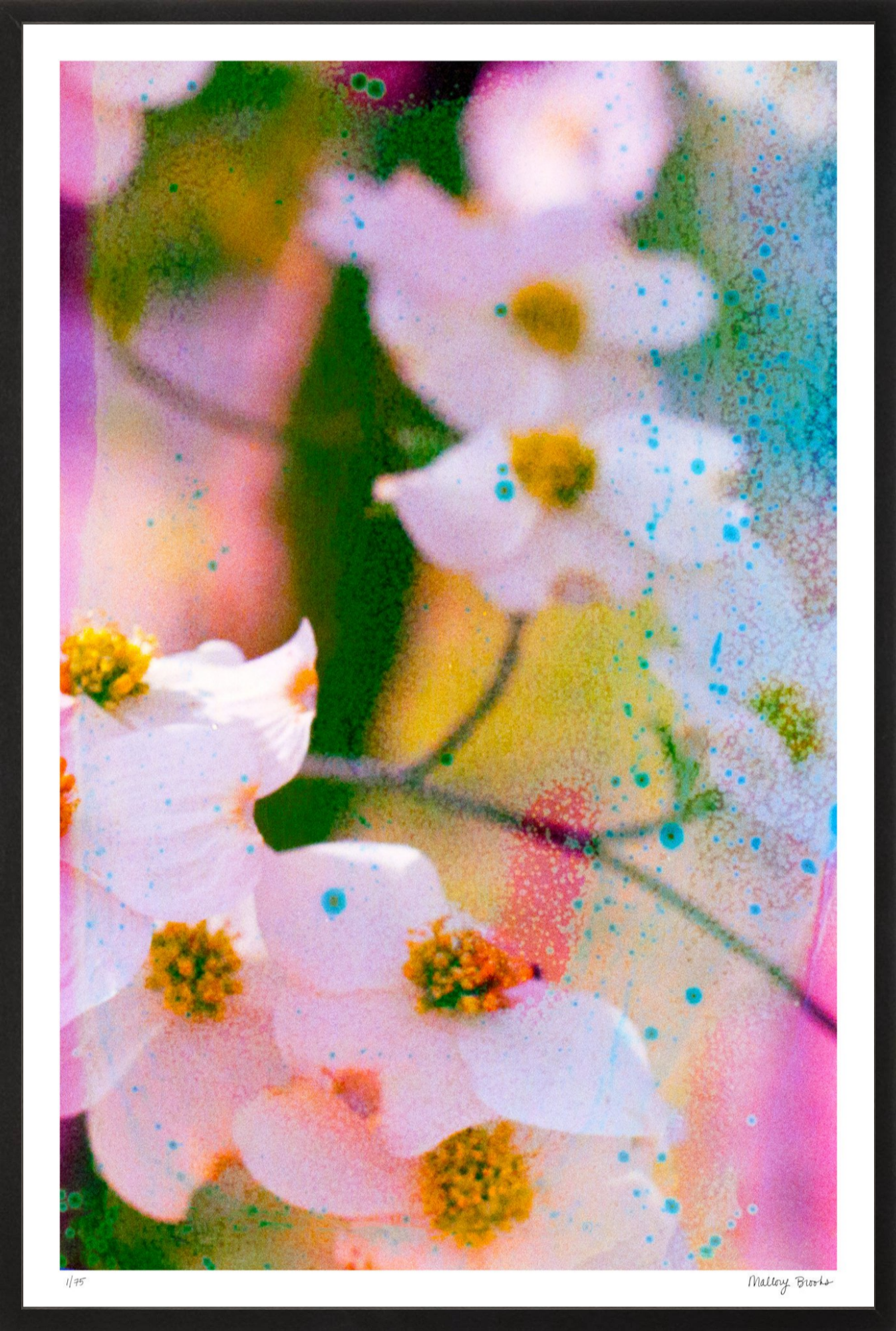 Electric Dogwoods No. 11
