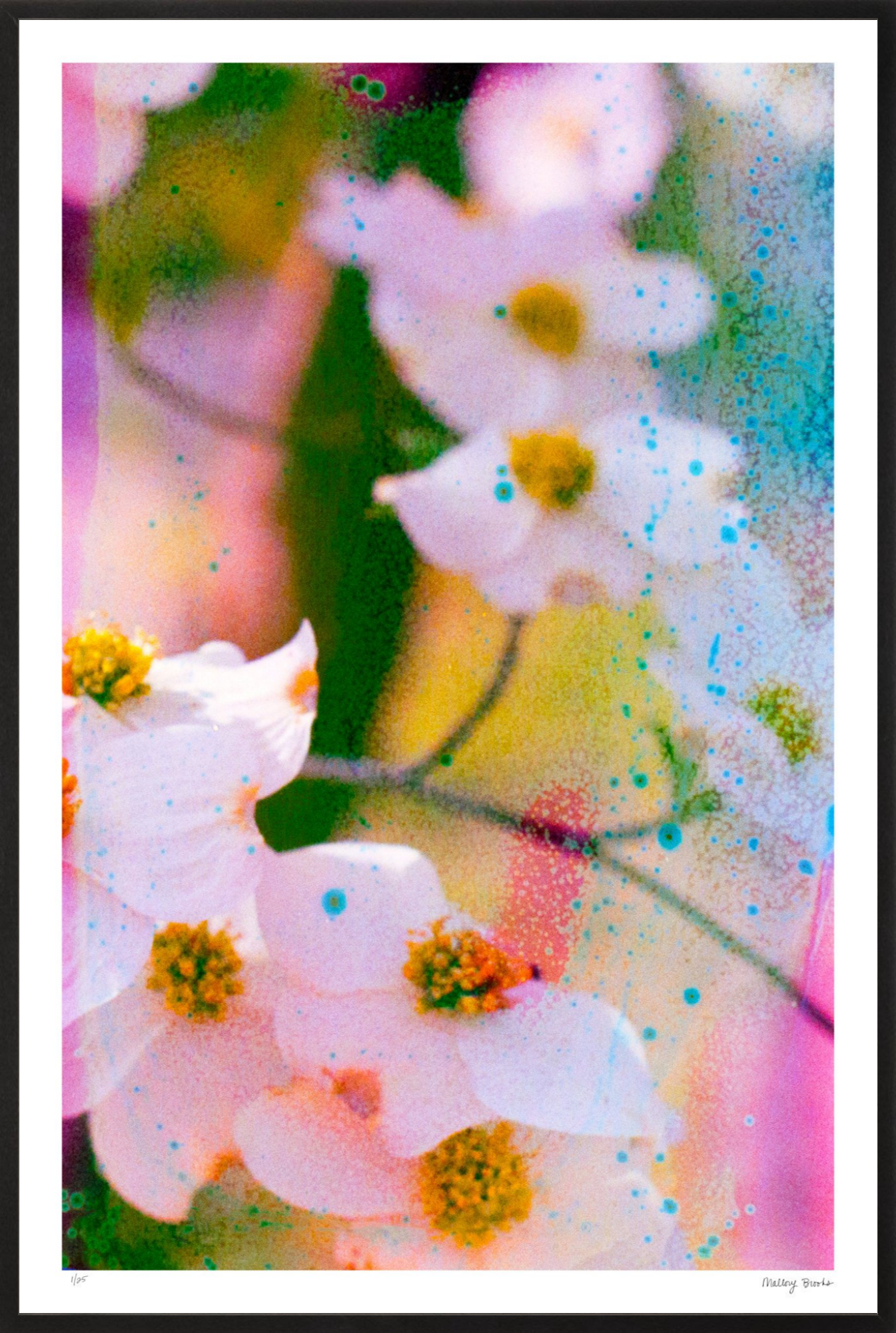 Electric Dogwoods No. 11