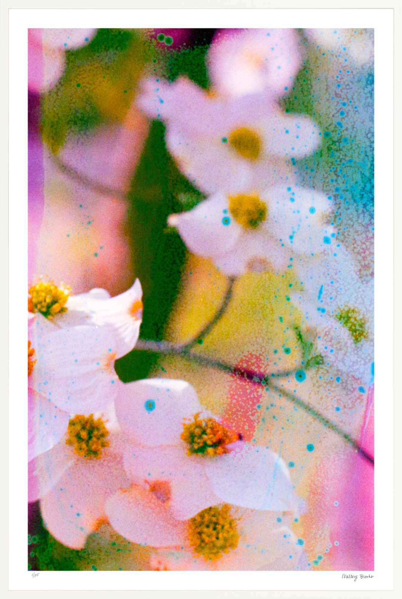 Electric Dogwoods No. 11