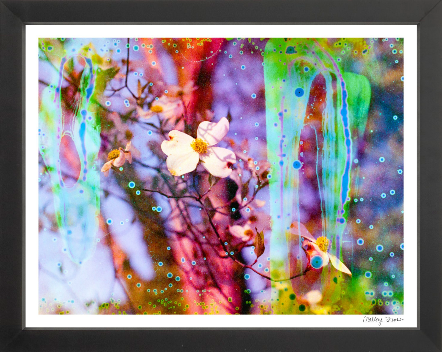 Electric Dogwoods No. 12