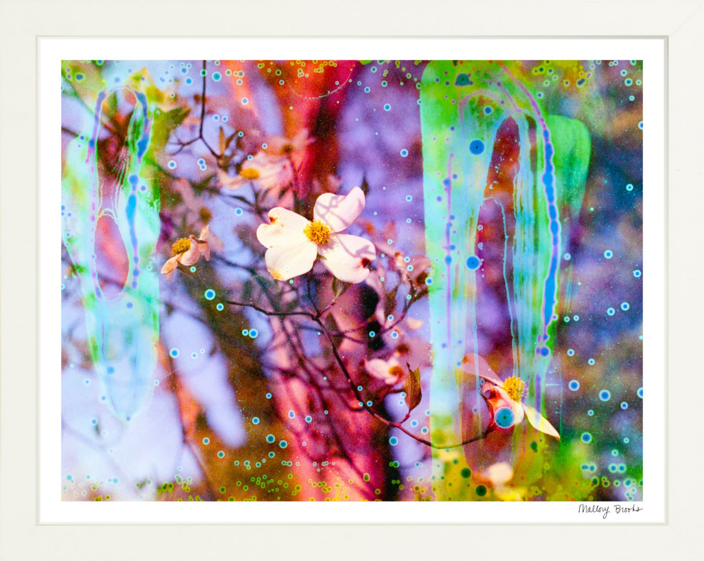 Electric Dogwoods No. 12