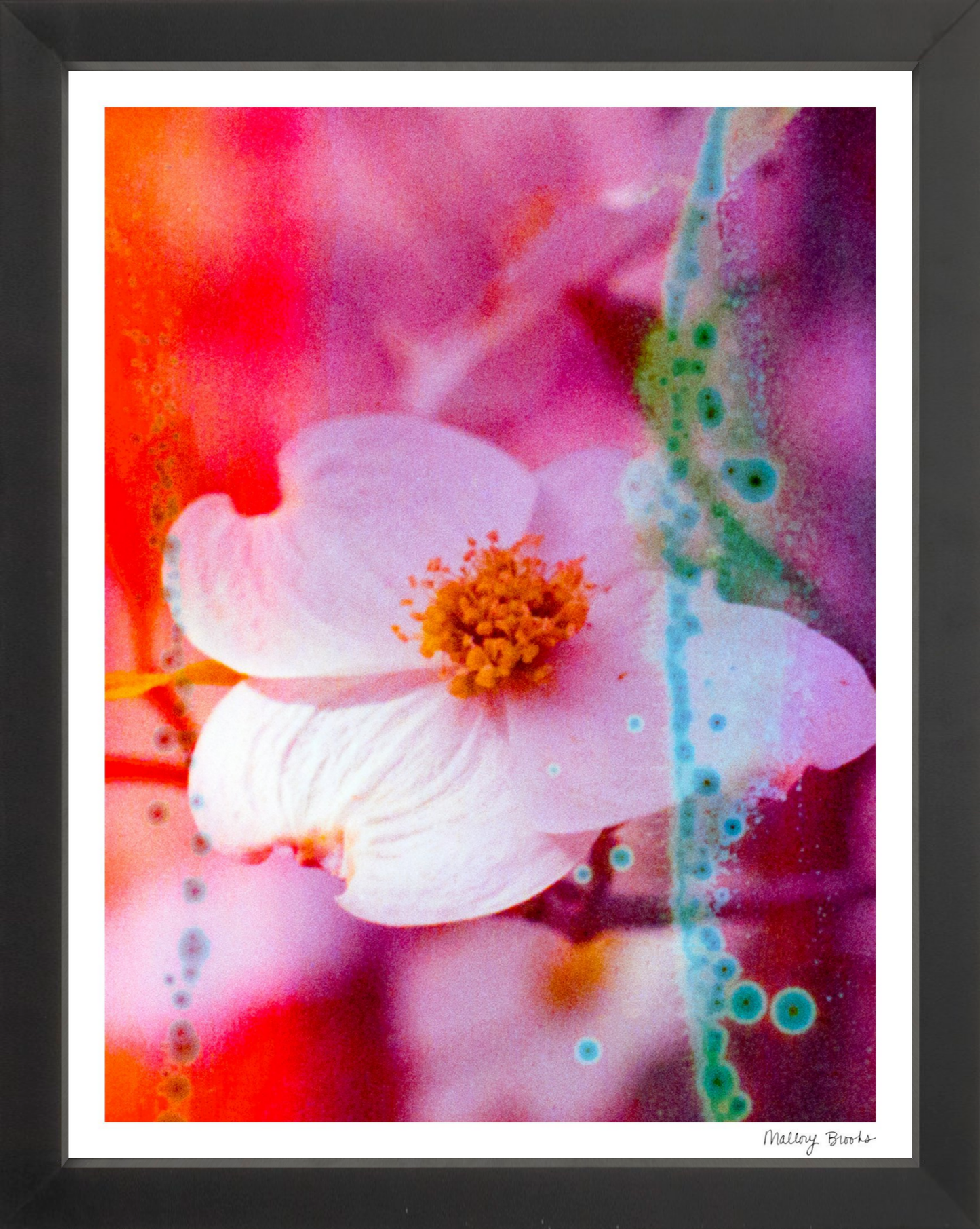 Electric Dogwoods No. 2
