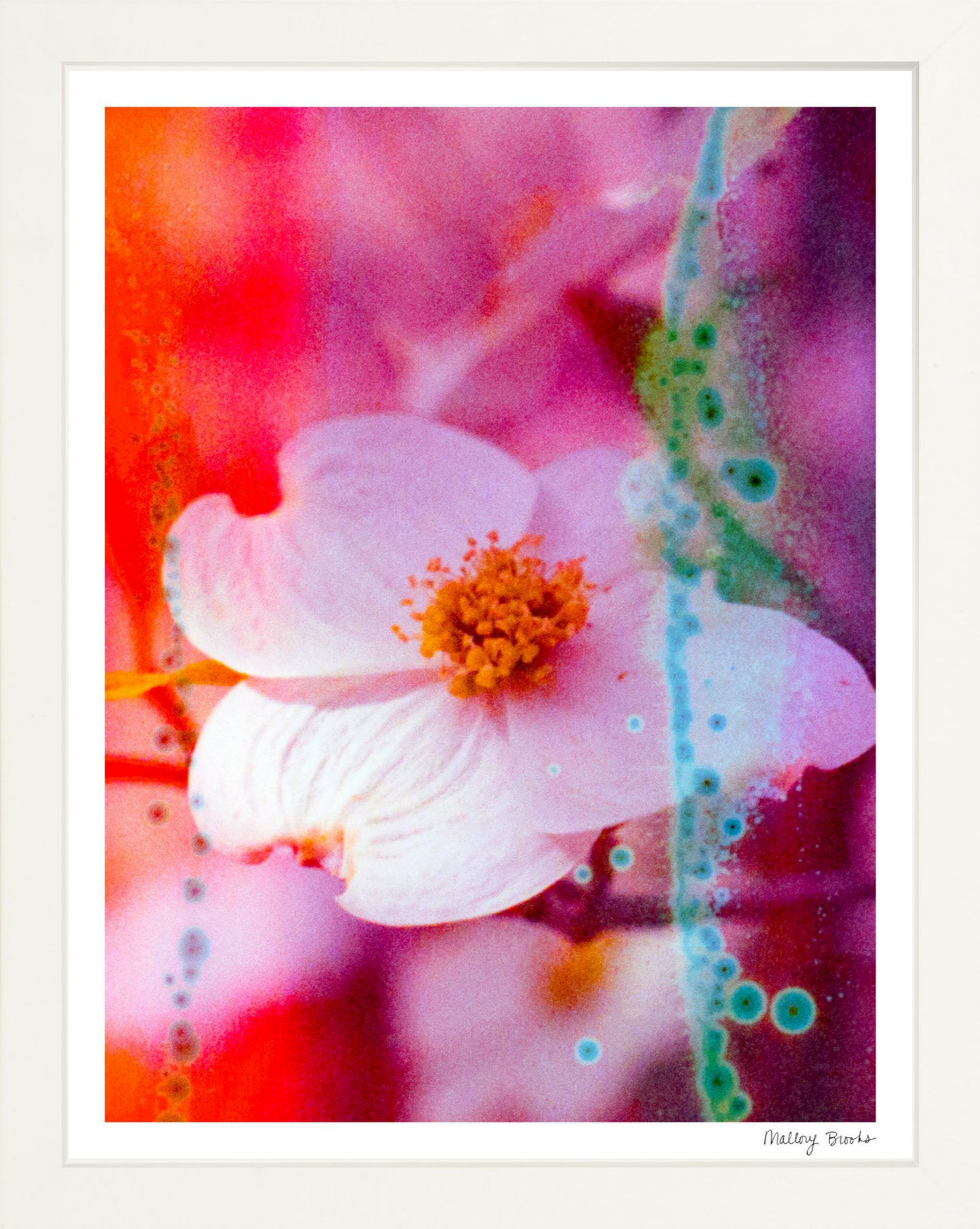 Electric Dogwoods No. 2