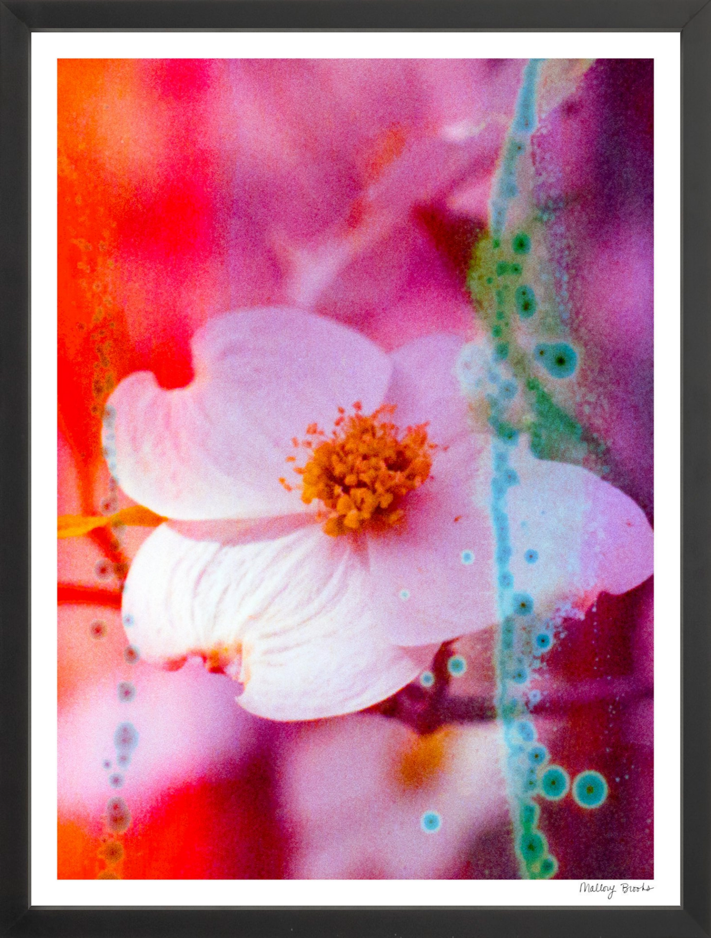 Electric Dogwoods No. 2