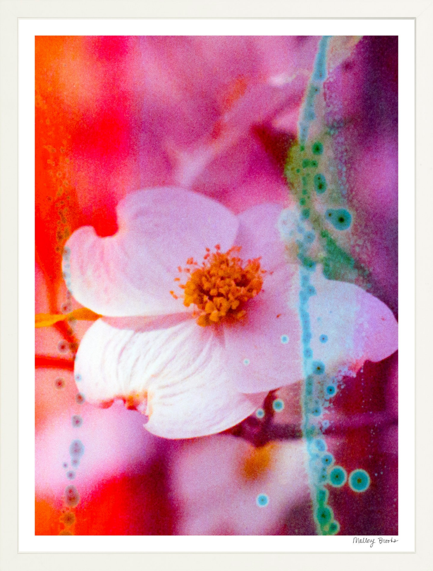 Electric Dogwoods No. 2