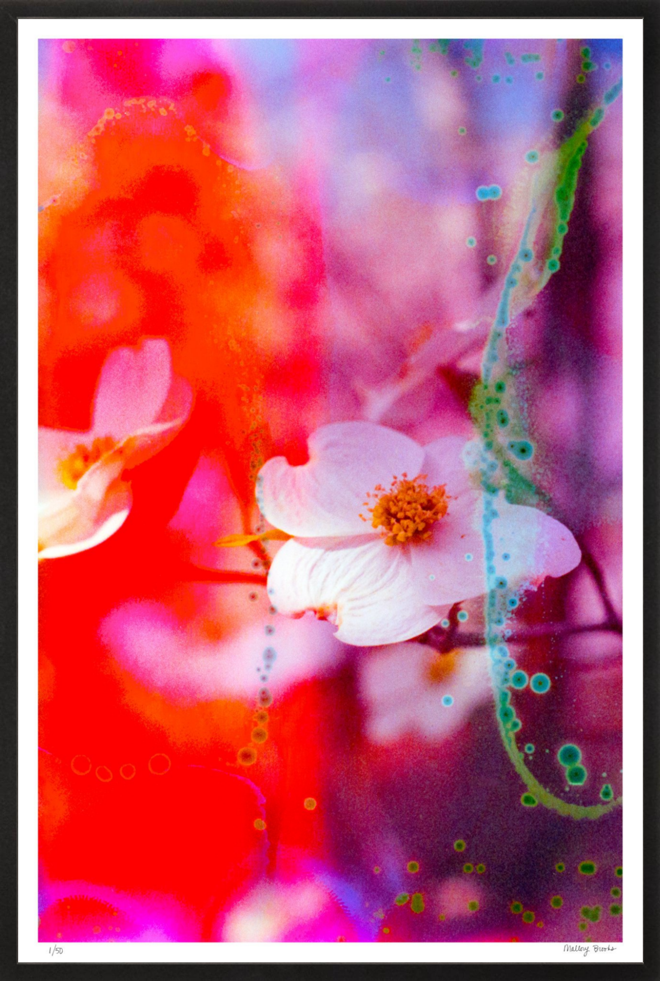 Electric Dogwoods No. 2