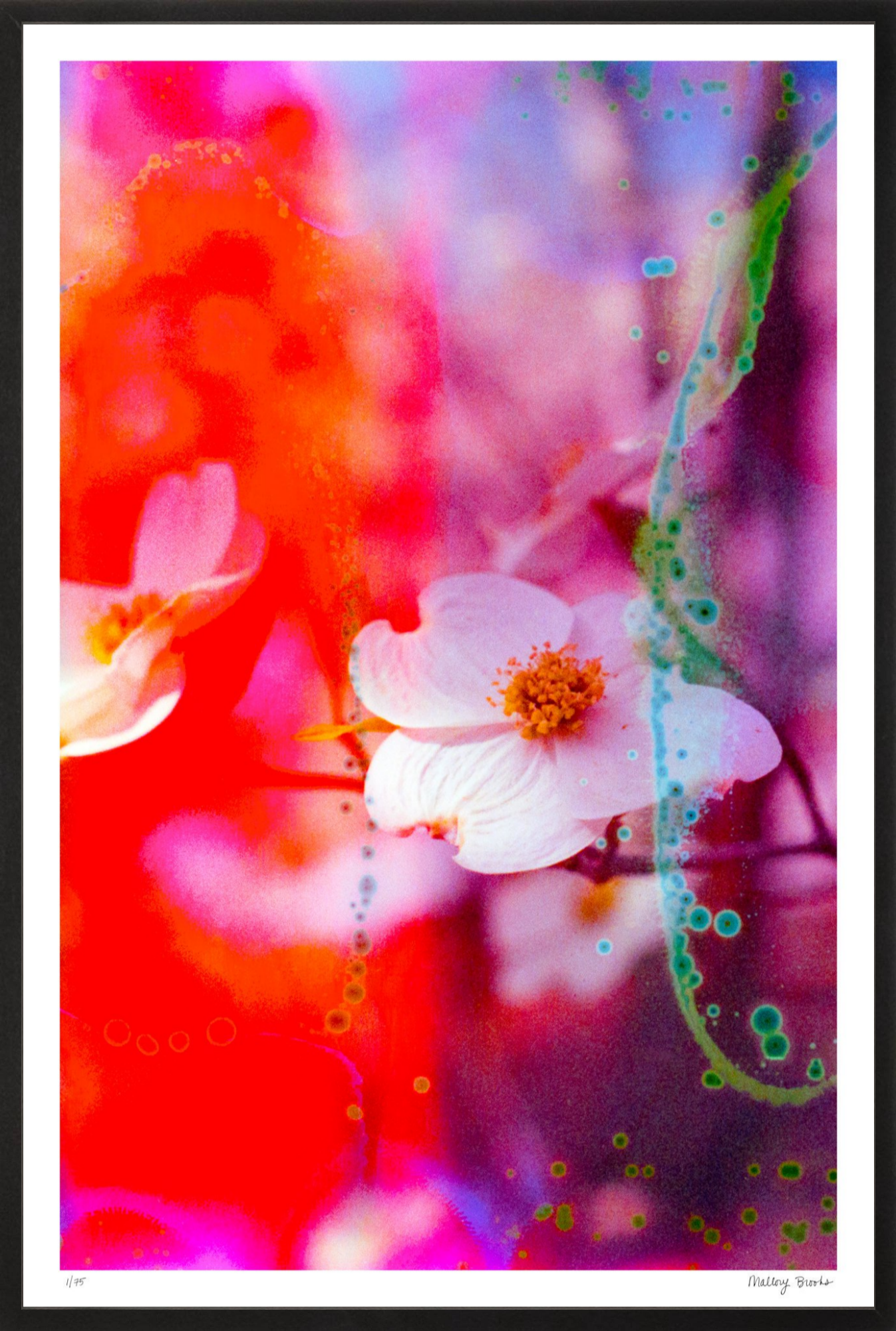 Electric Dogwoods No. 2