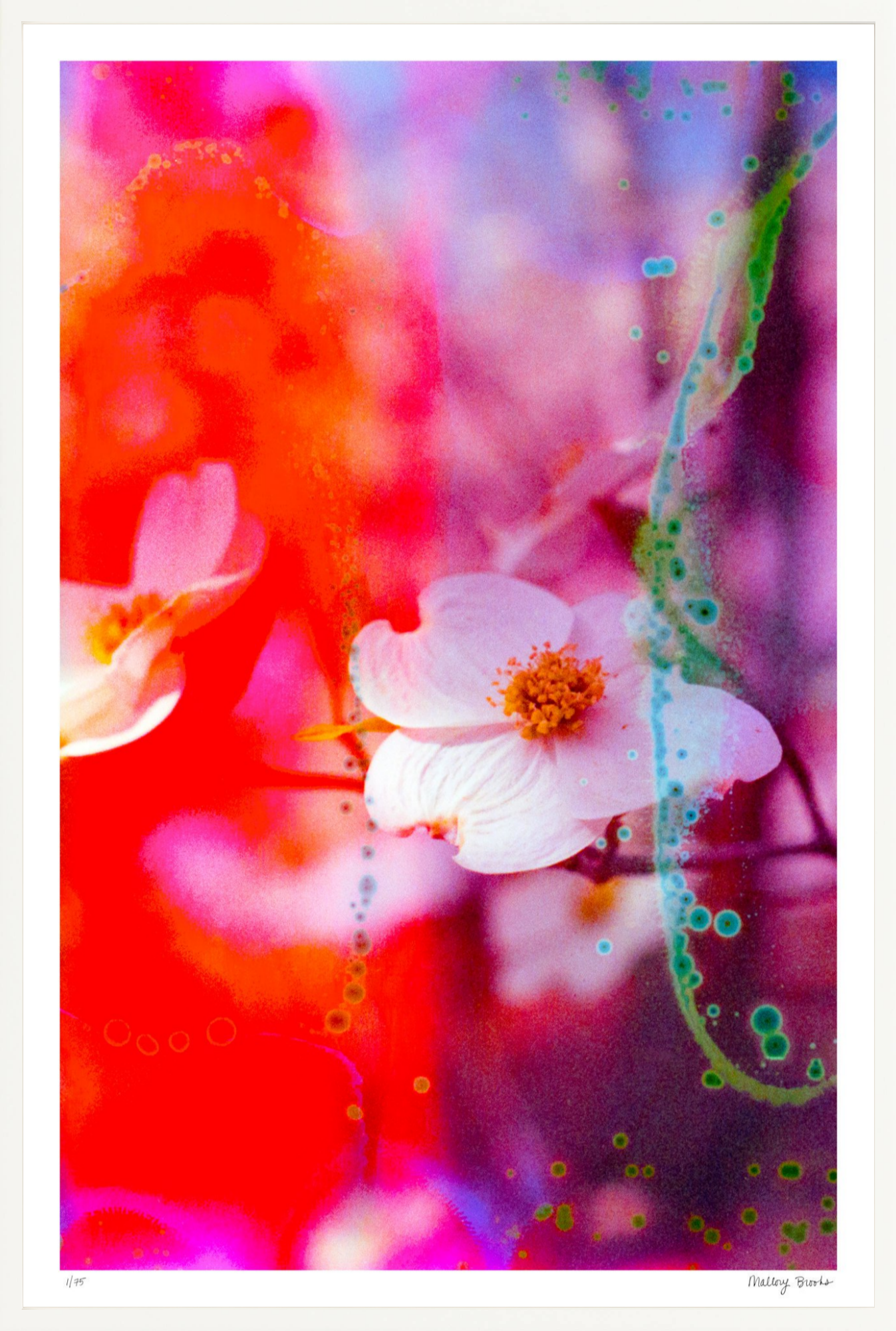Electric Dogwoods No. 2