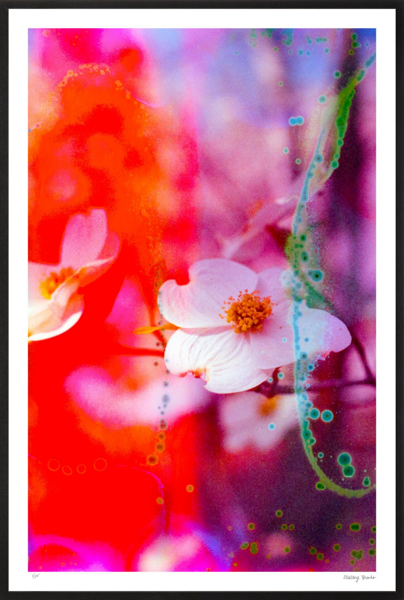 Electric Dogwoods No. 2