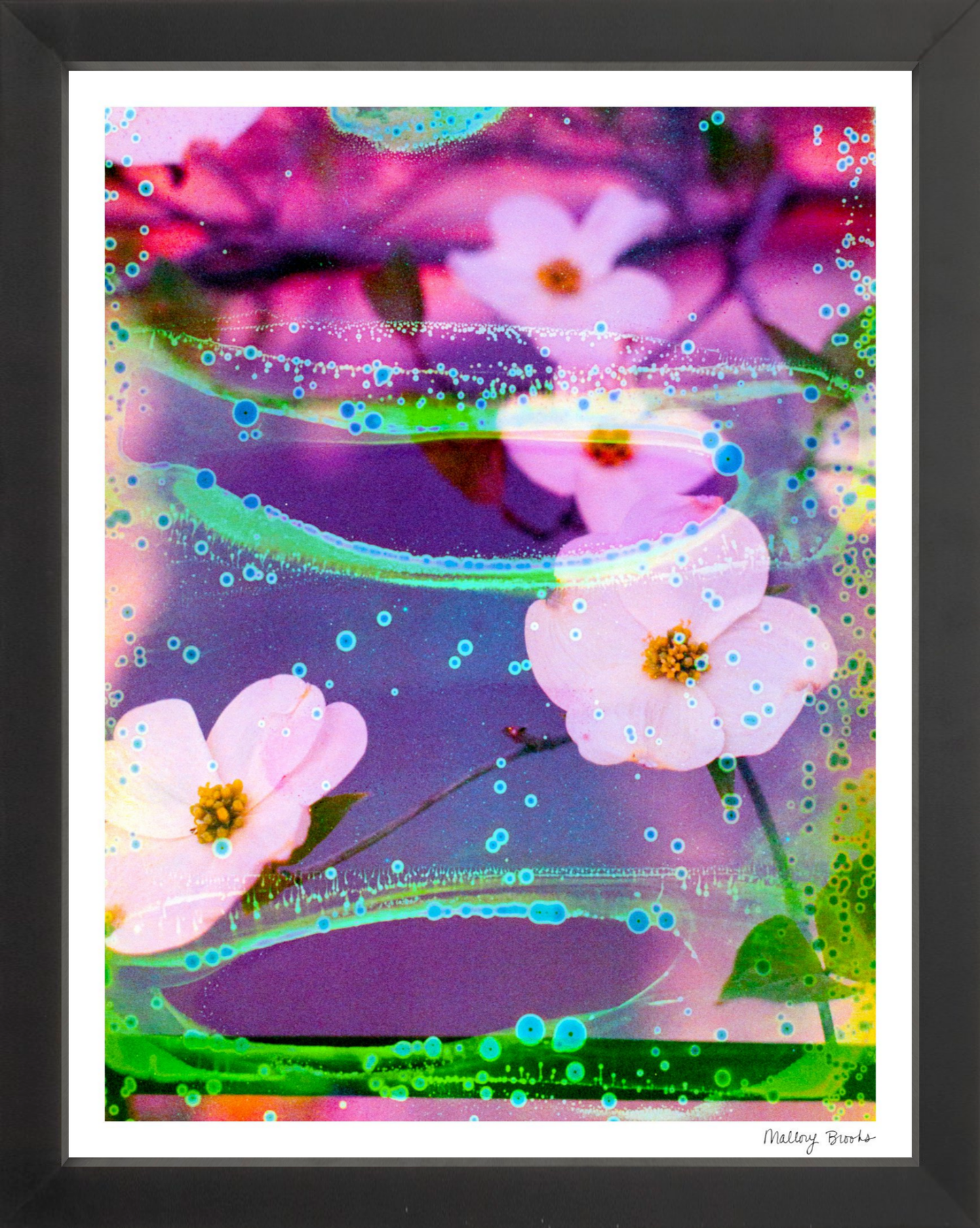 Electric Dogwoods No. 3