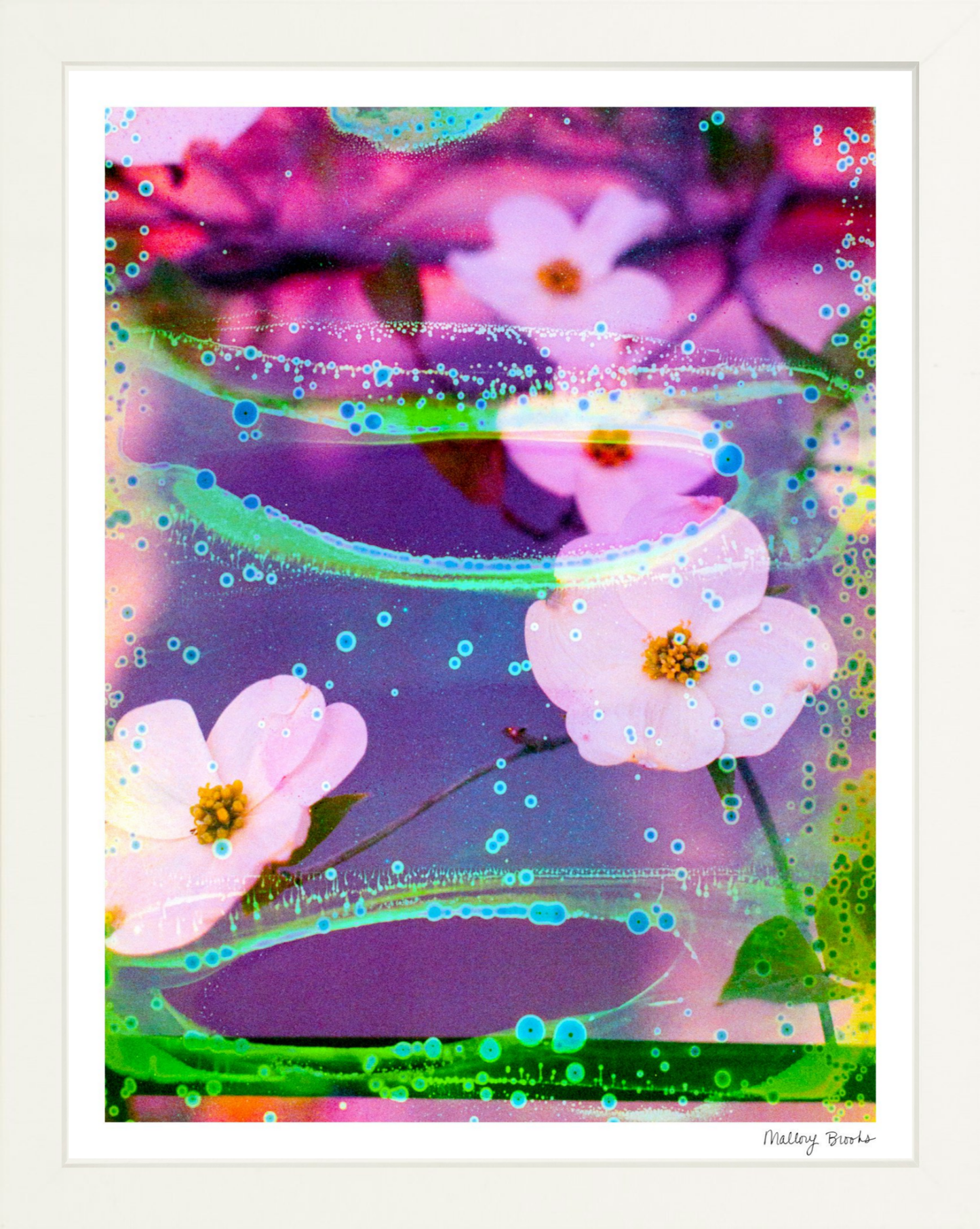 Electric Dogwoods No. 3