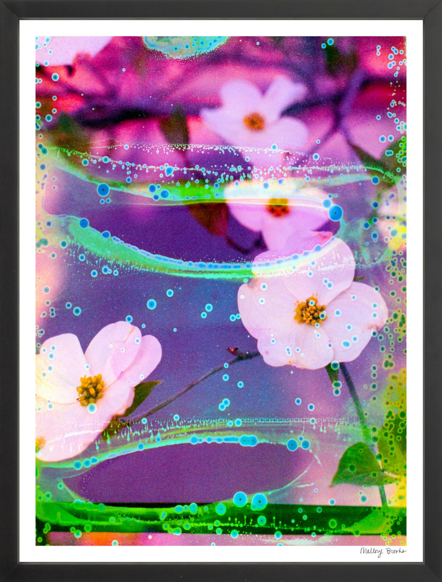 Electric Dogwoods No. 3