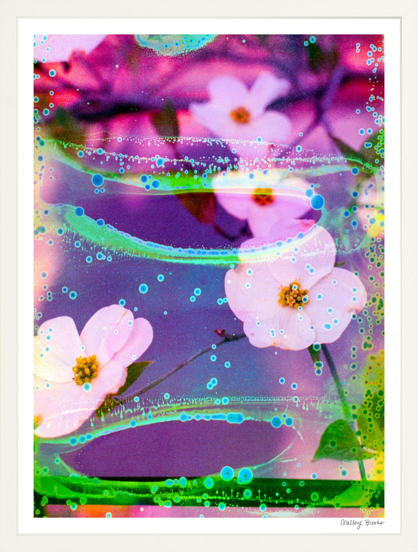Electric Dogwoods No. 3