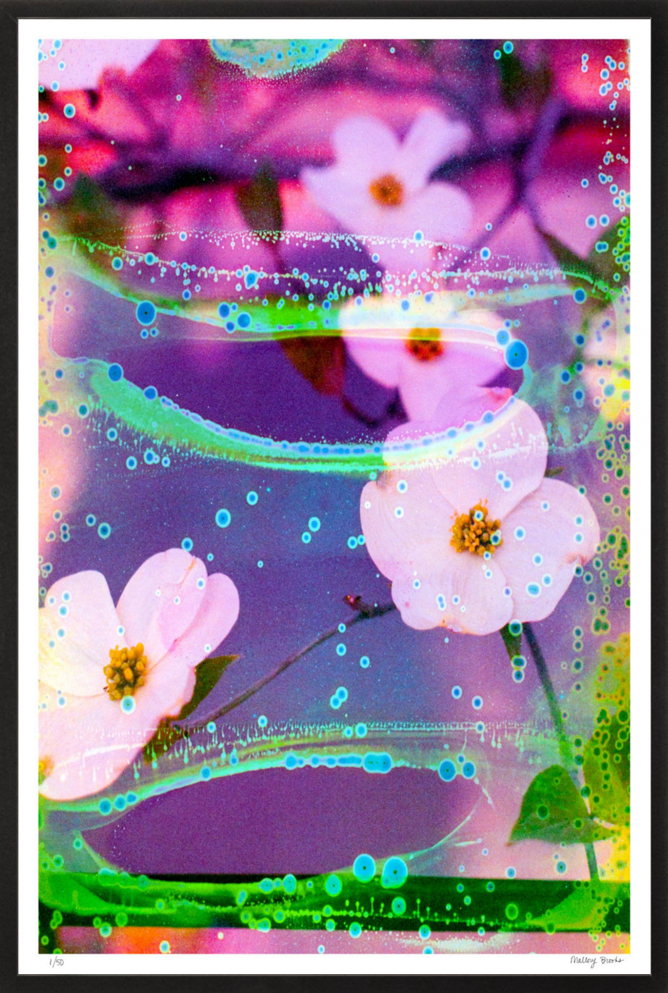 Electric Dogwoods No. 3
