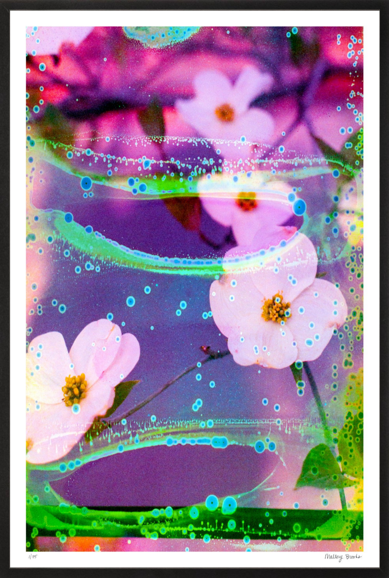 Electric Dogwoods No. 3