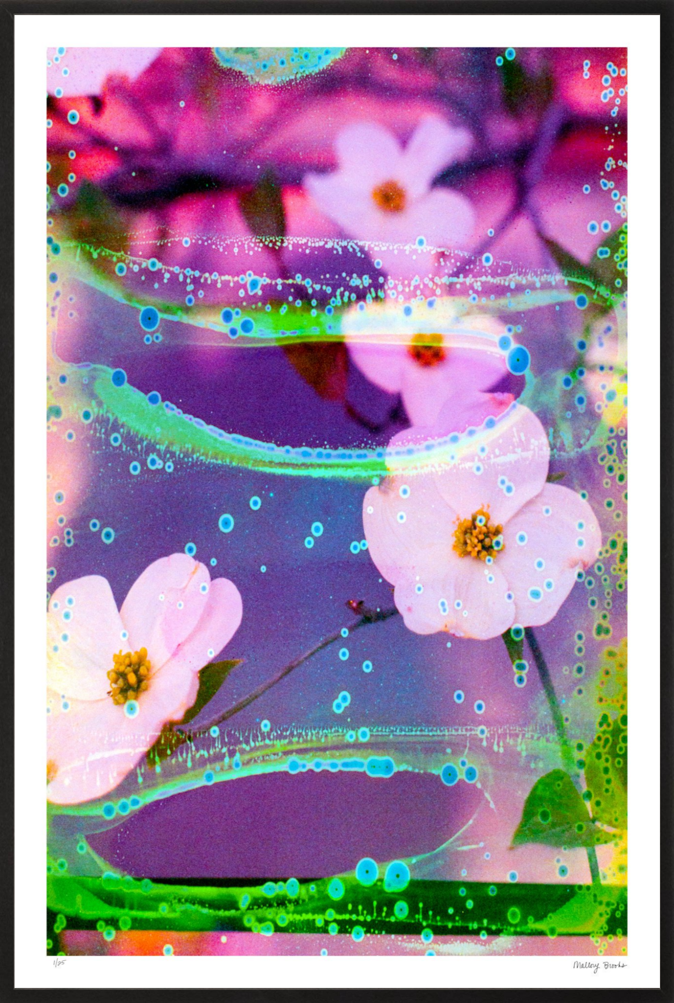 Electric Dogwoods No. 3