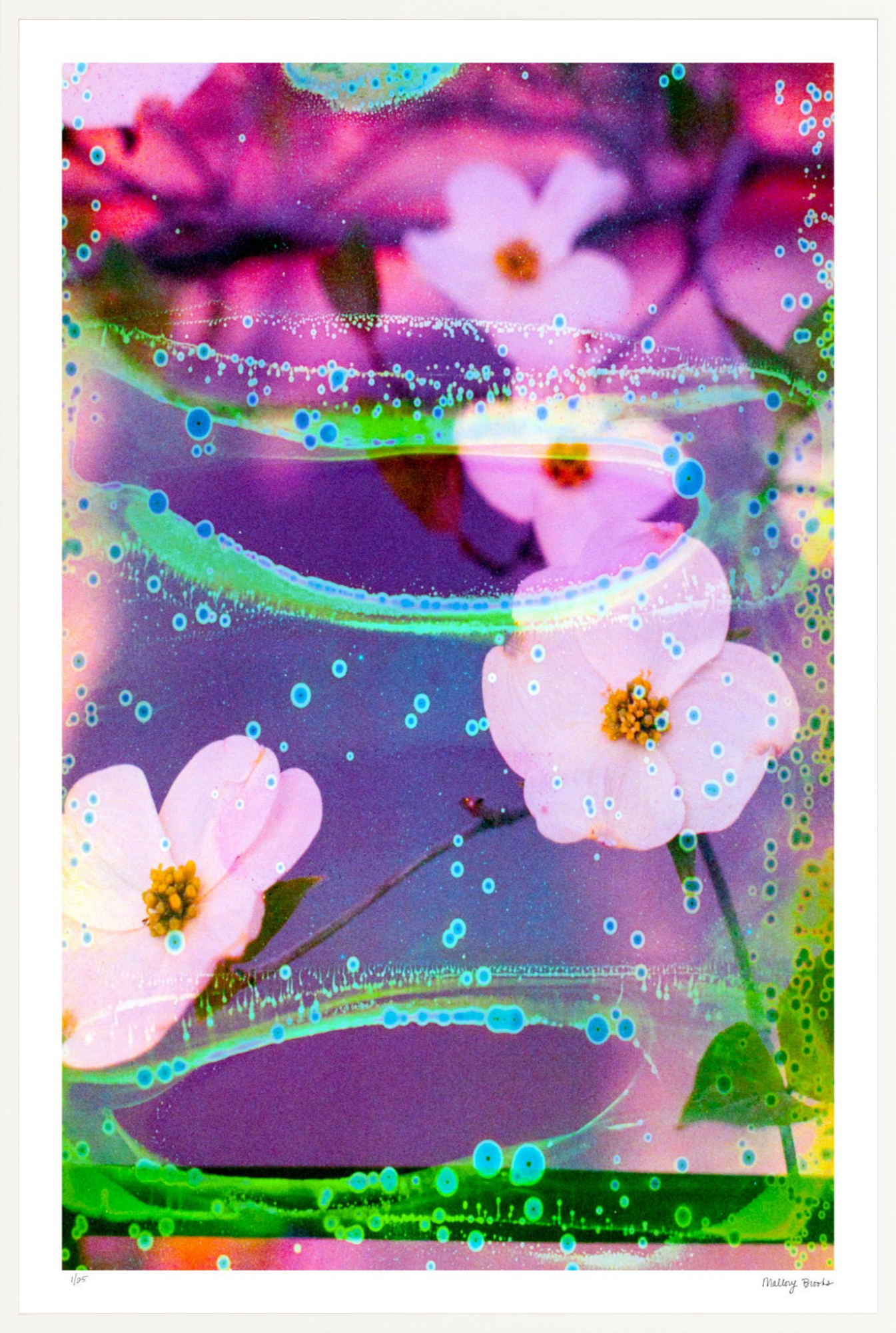 Electric Dogwoods No. 3