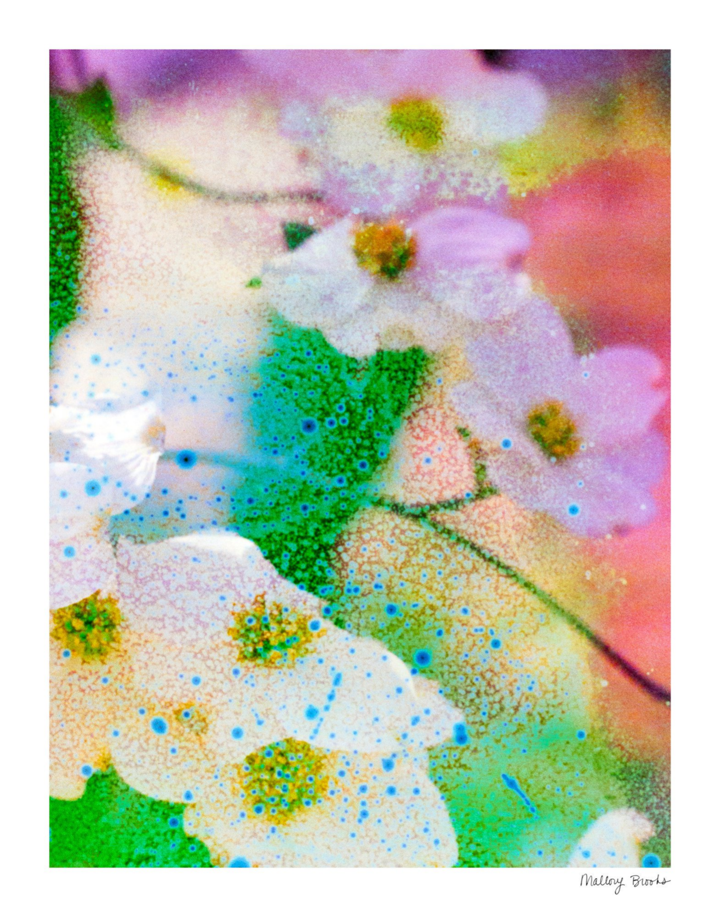 Electric Dogwoods No. 4